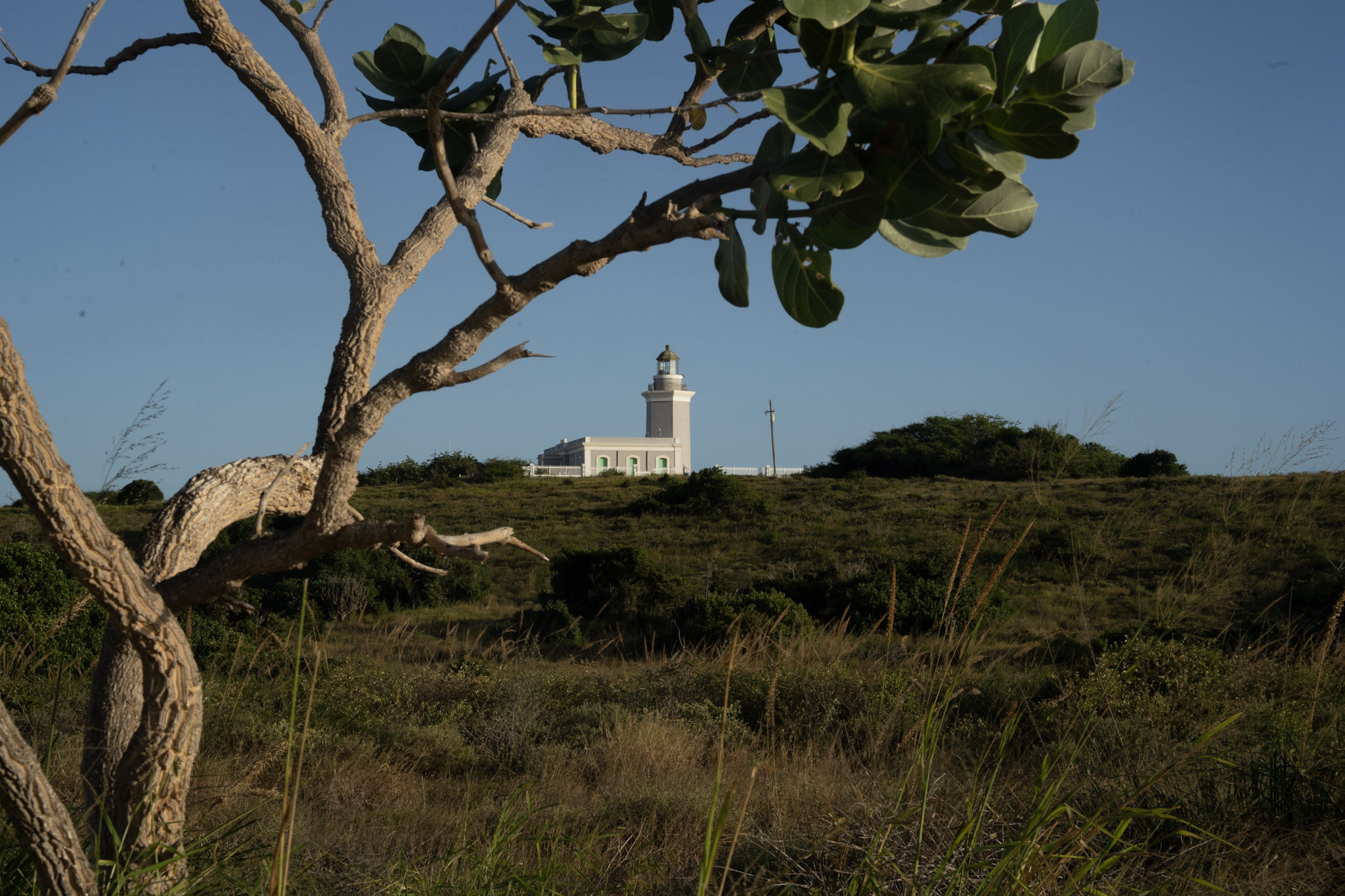 Faro - foto 70