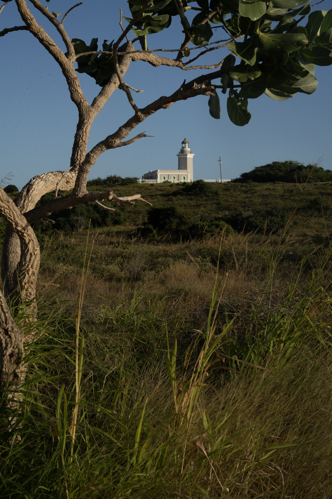 Faro - foto 71