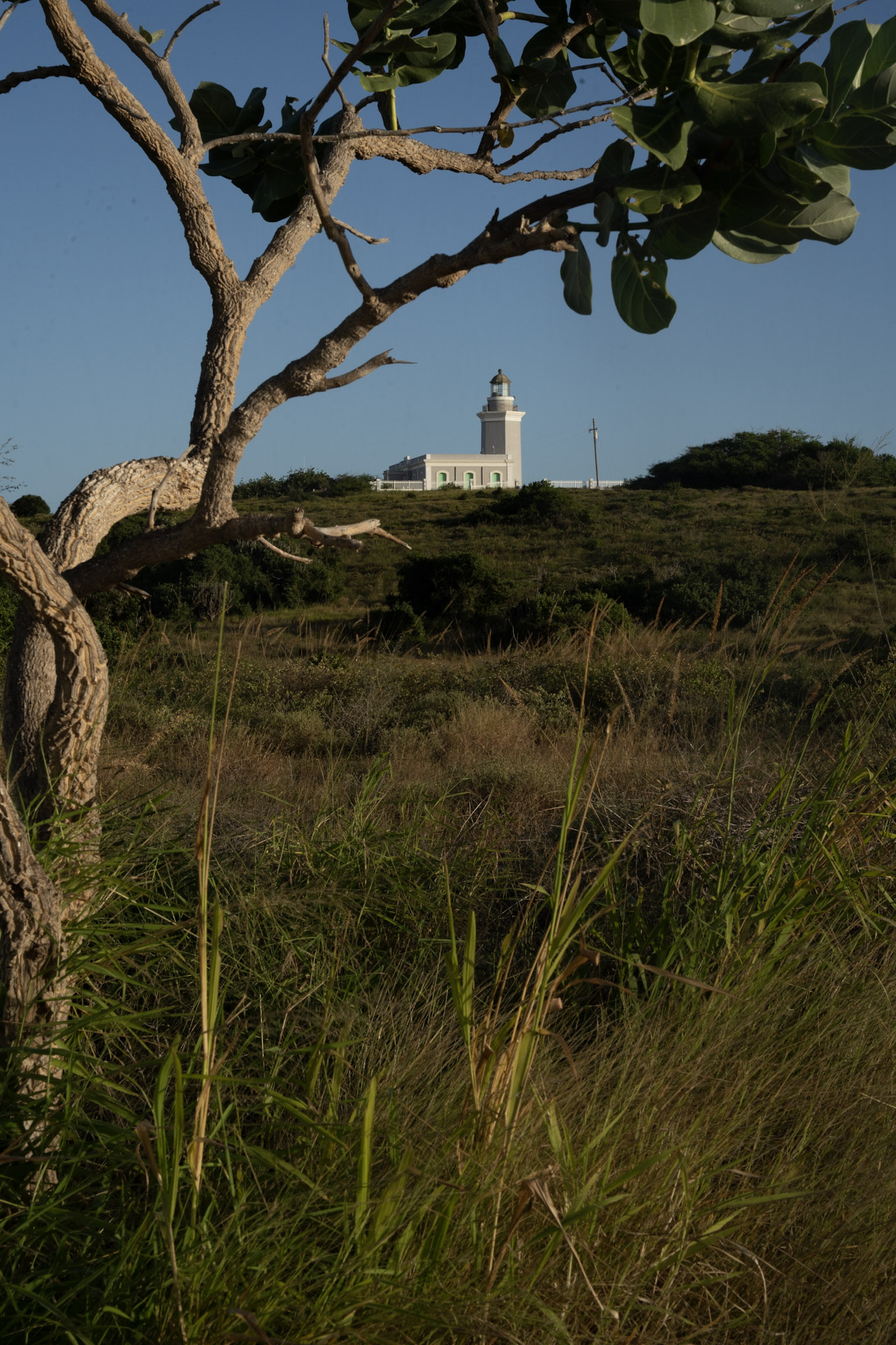 Faro - foto 72