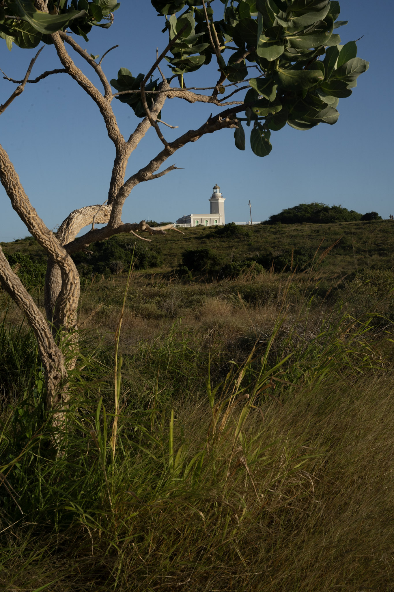 Faro - foto 73