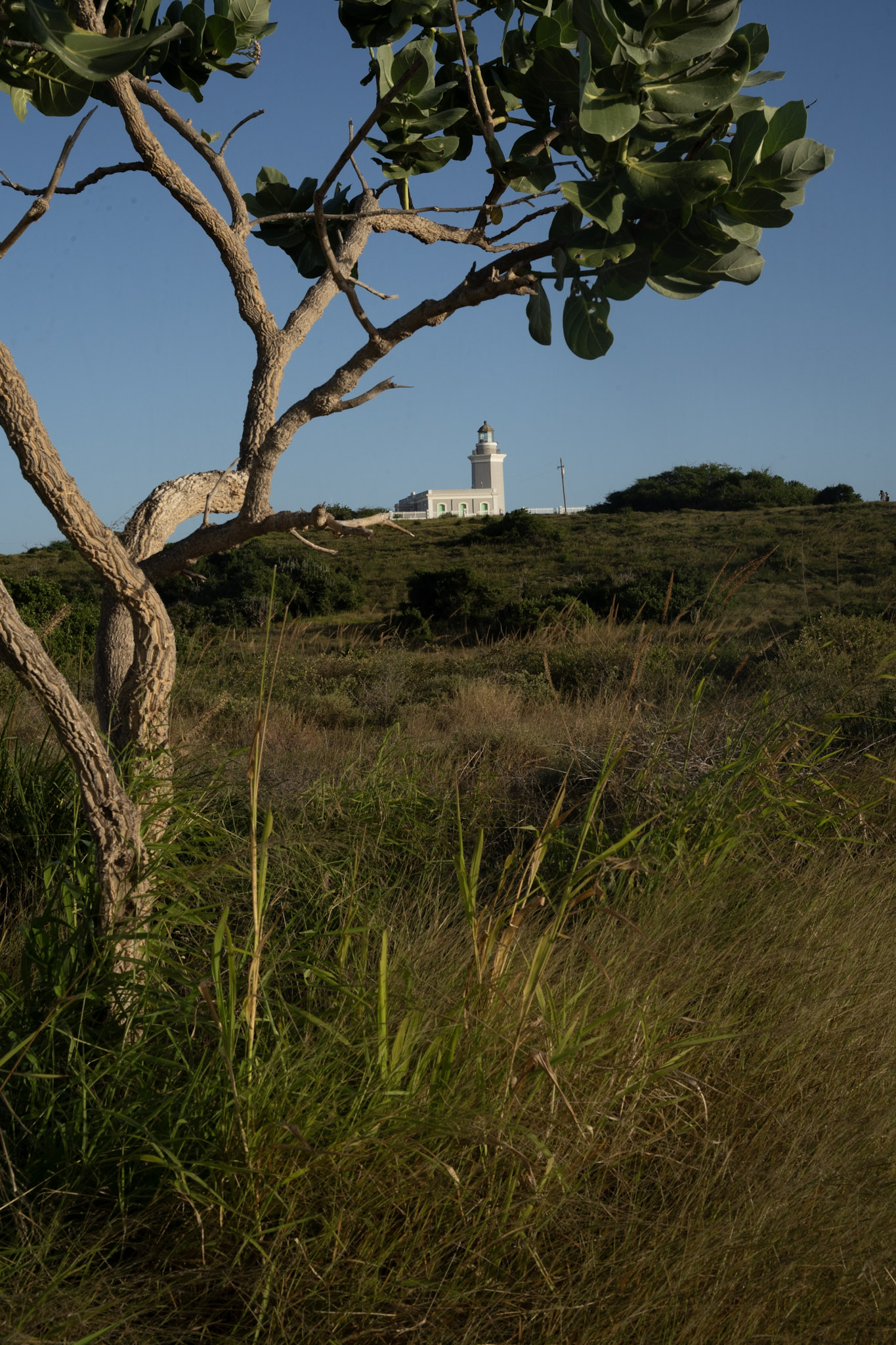 Faro - foto 74