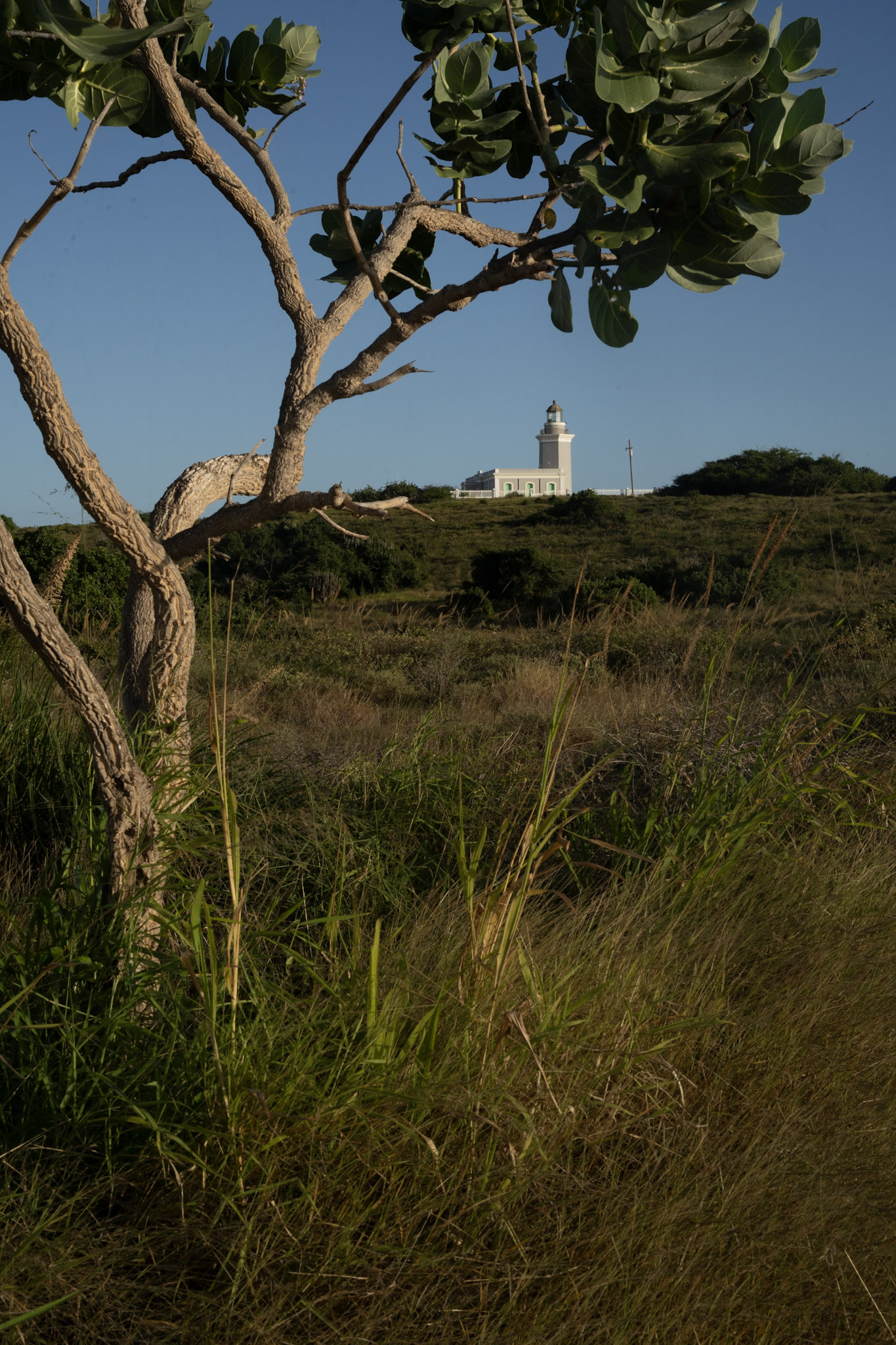Faro - foto 75
