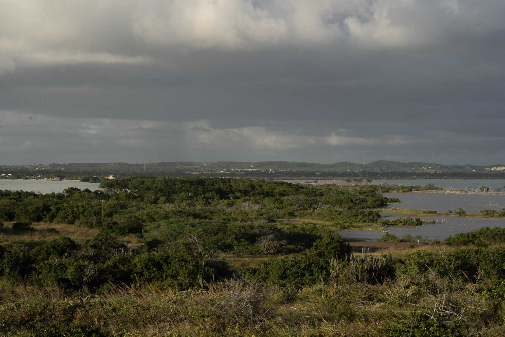 Faro - foto 85