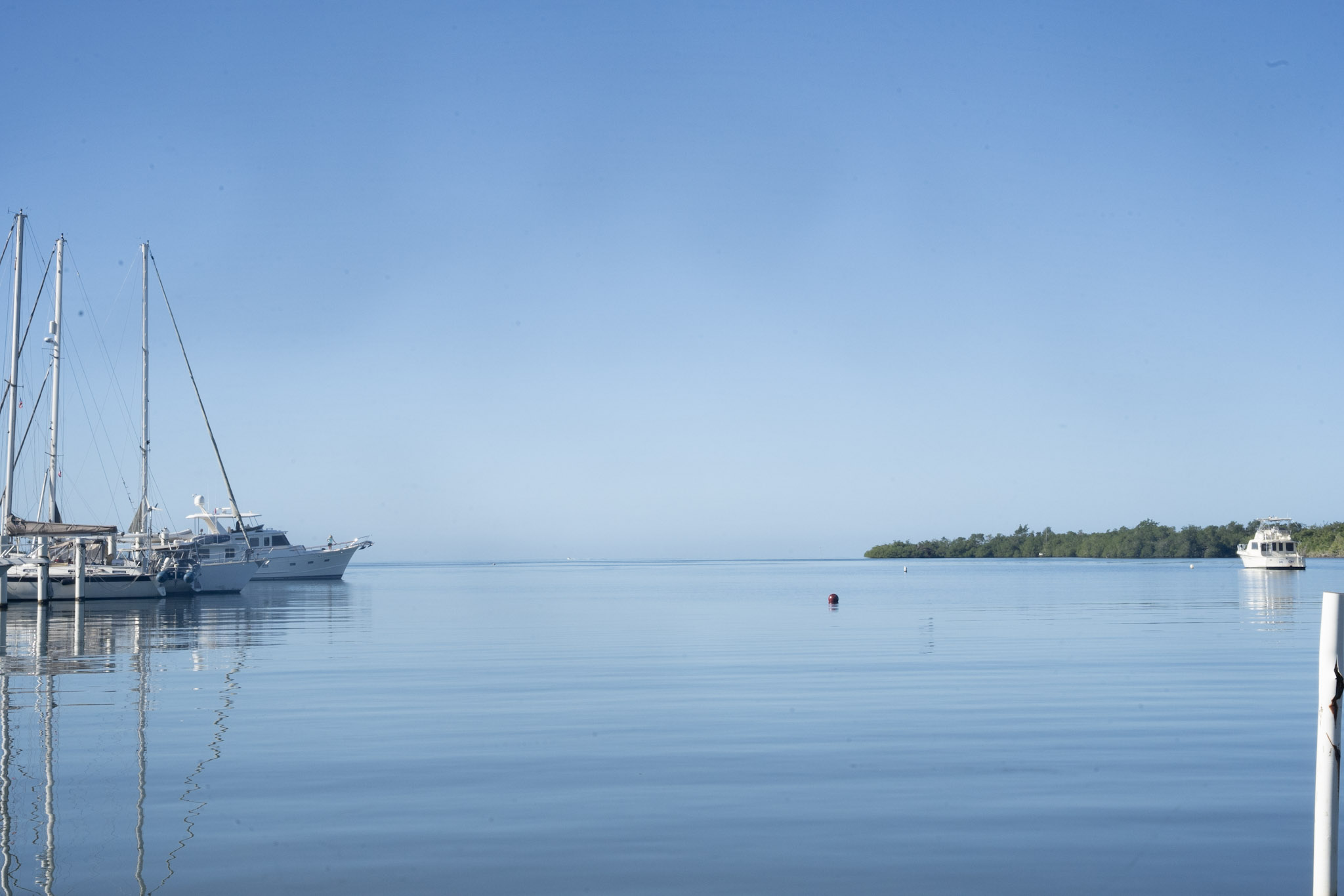 2022-12-30_Puerto_Real - foto 2