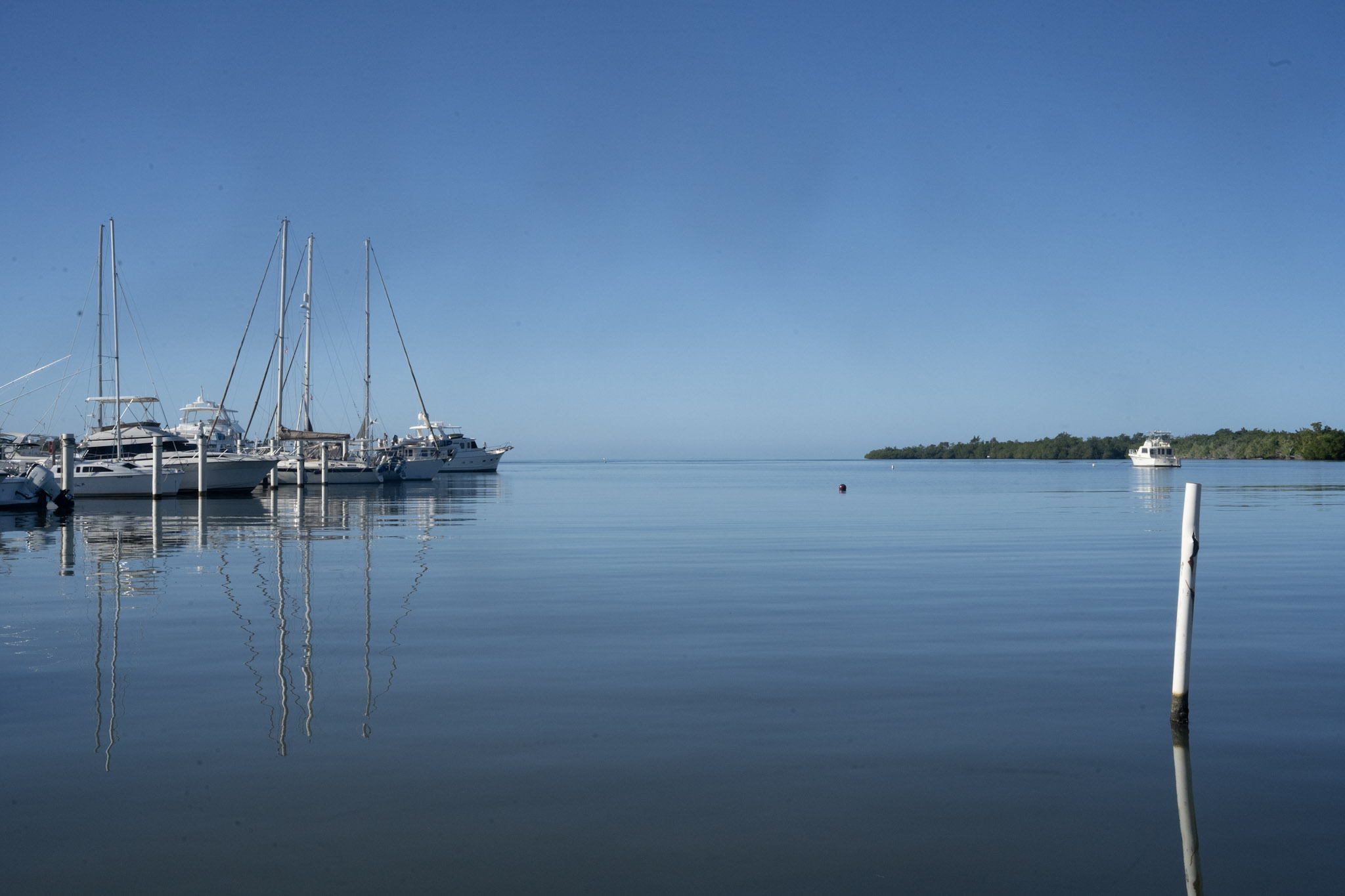 2022-12-30_Puerto_Real - foto 3