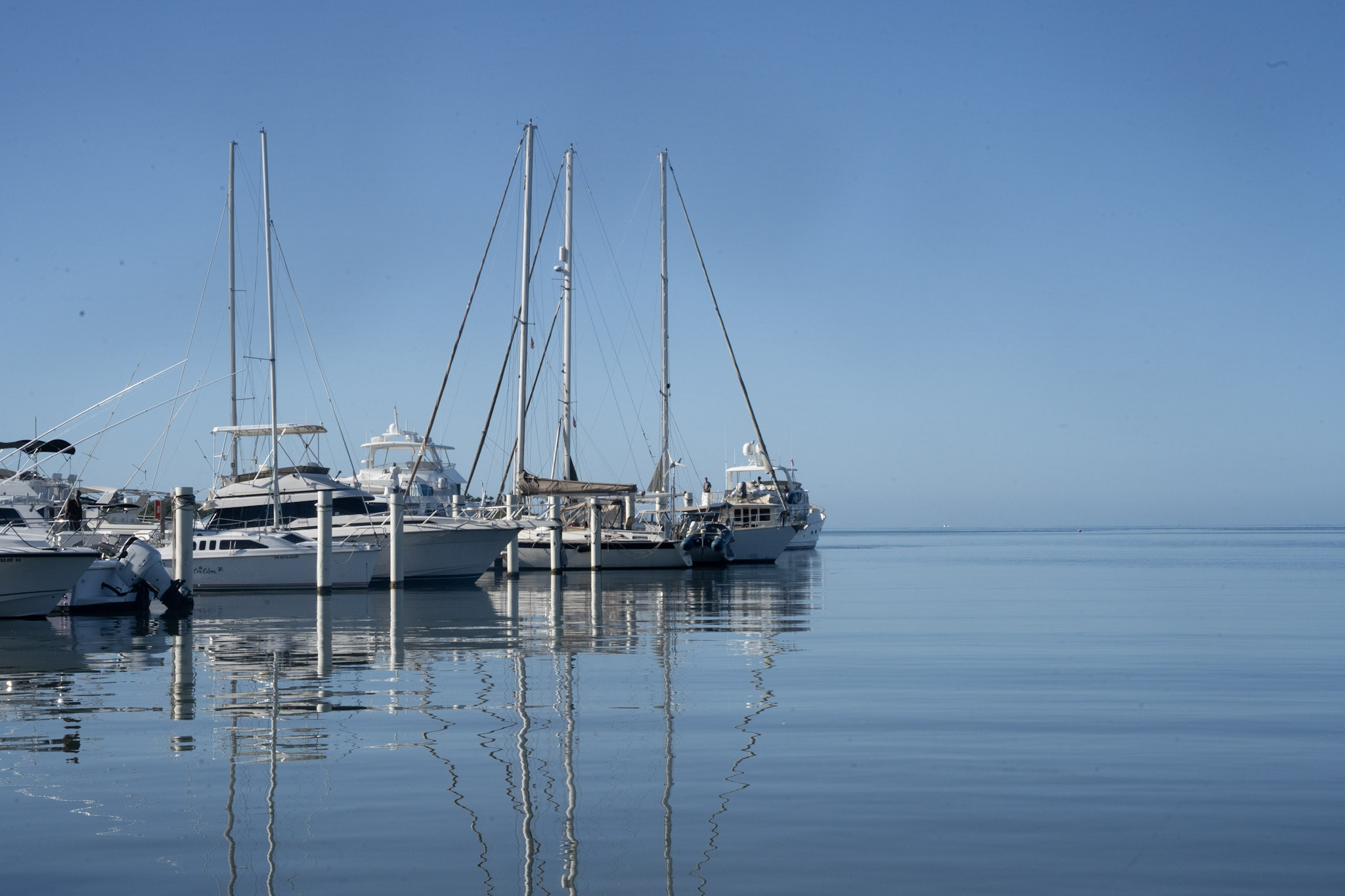 2022-12-30_Puerto_Real - foto 5