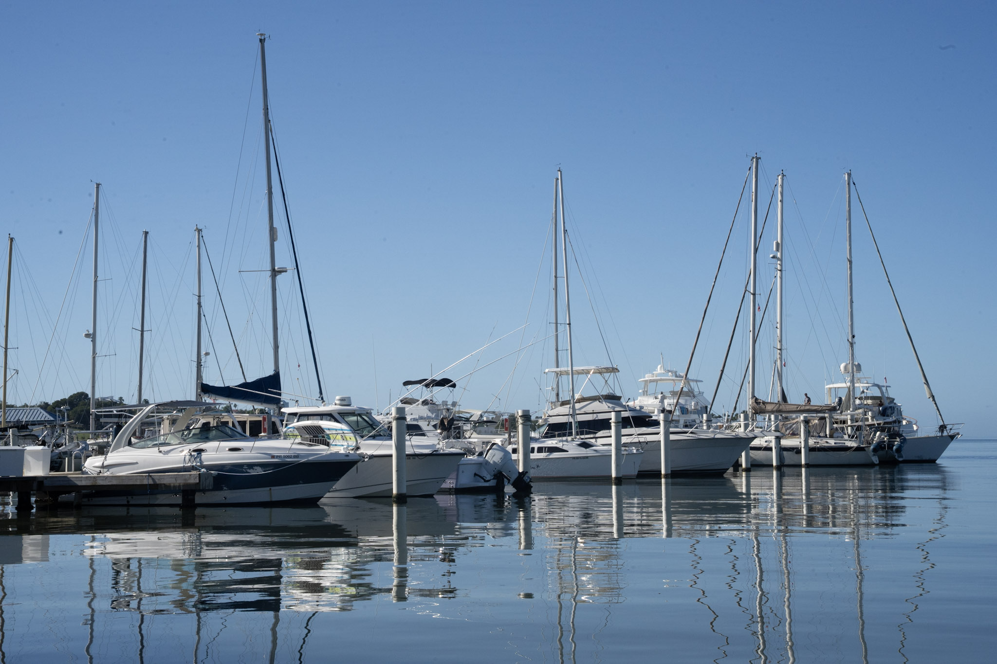 2022-12-30_Puerto_Real - foto 6