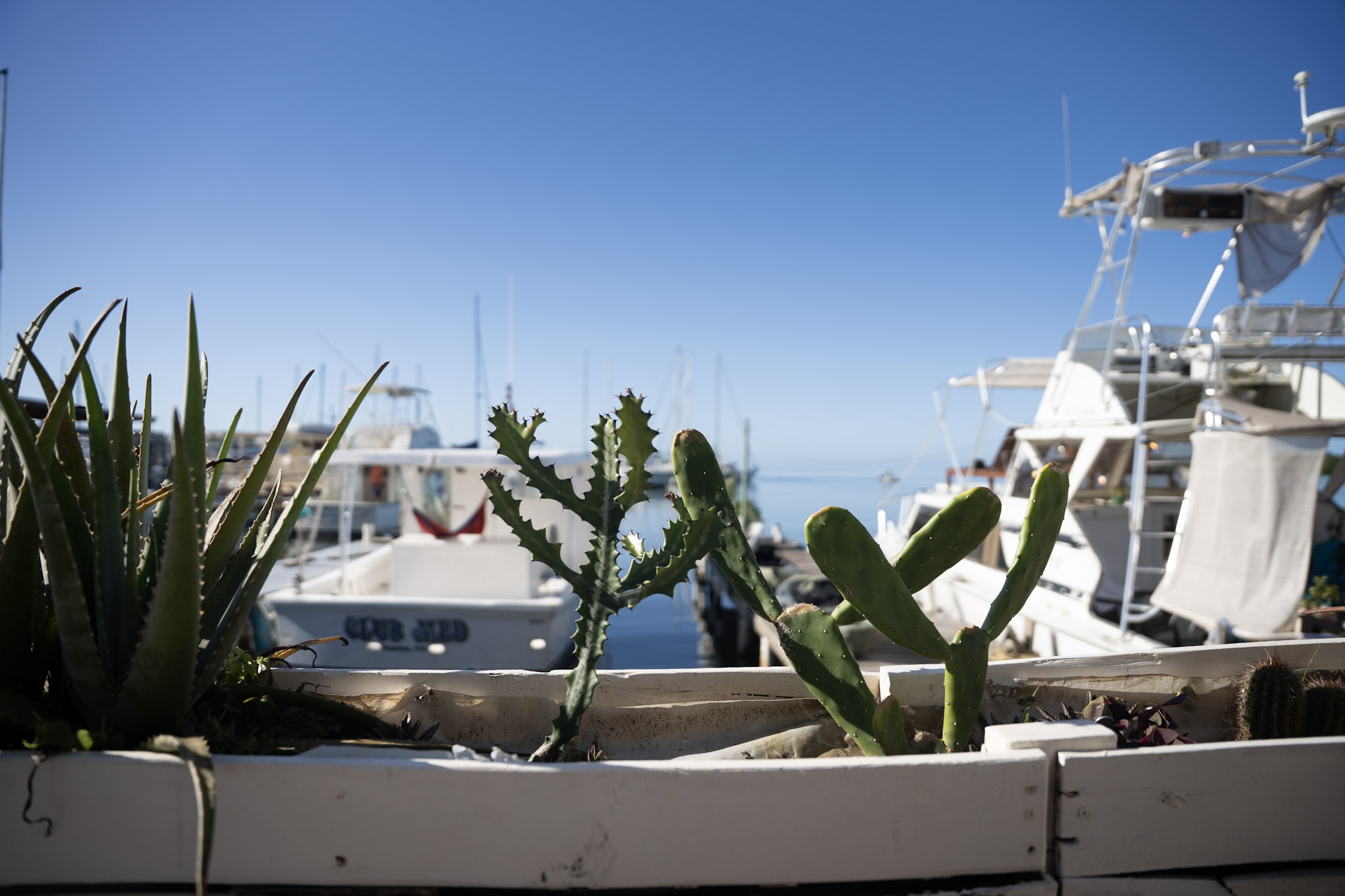 2022-12-30_Puerto_Real - foto 15