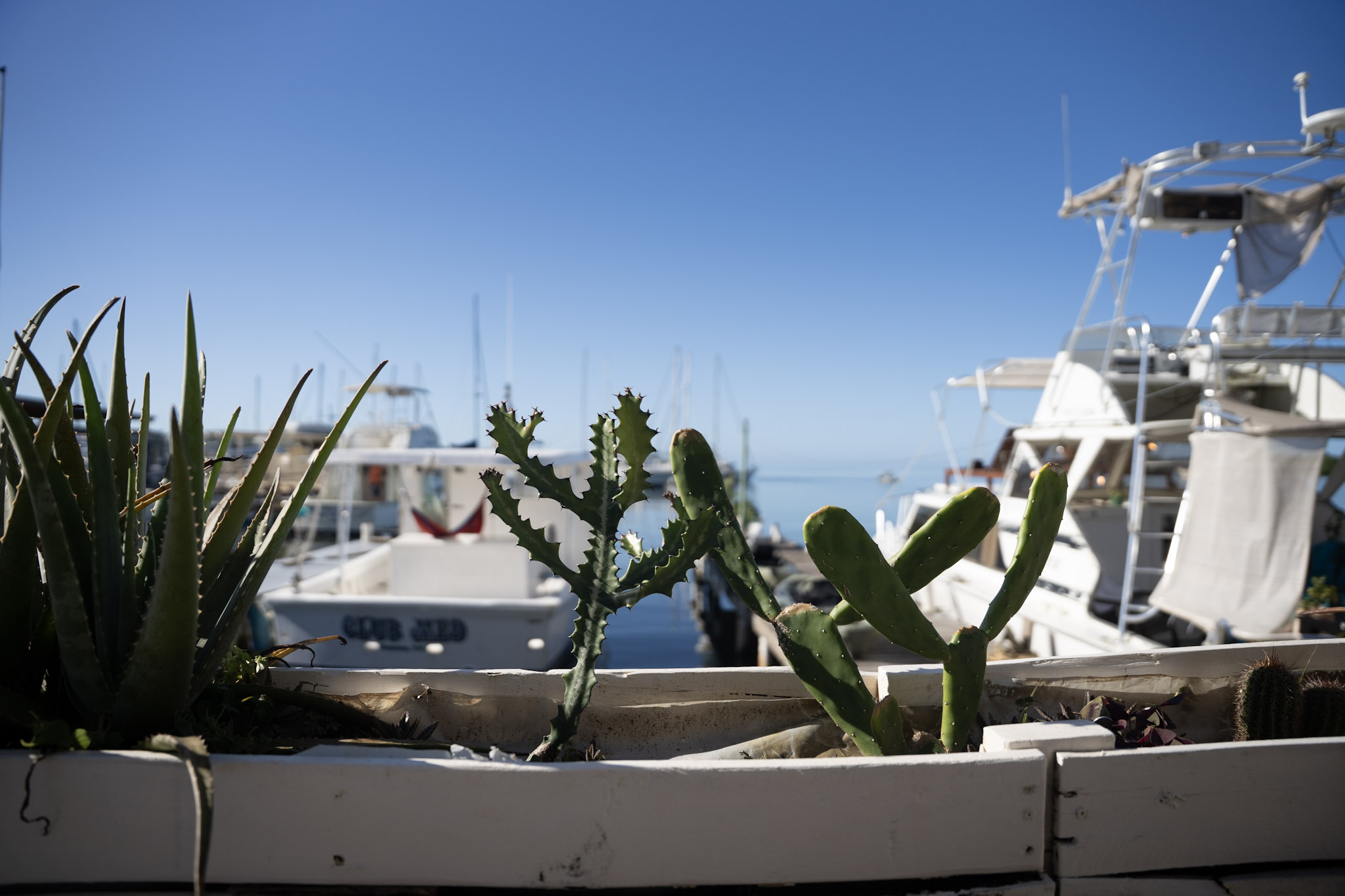 2022-12-30_Puerto_Real - foto 16