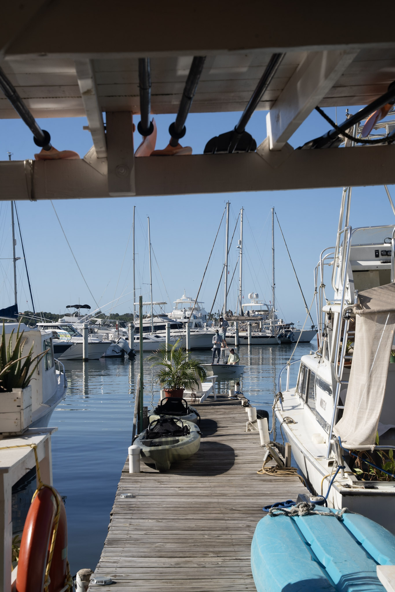 2022-12-30_Puerto_Real - foto 18