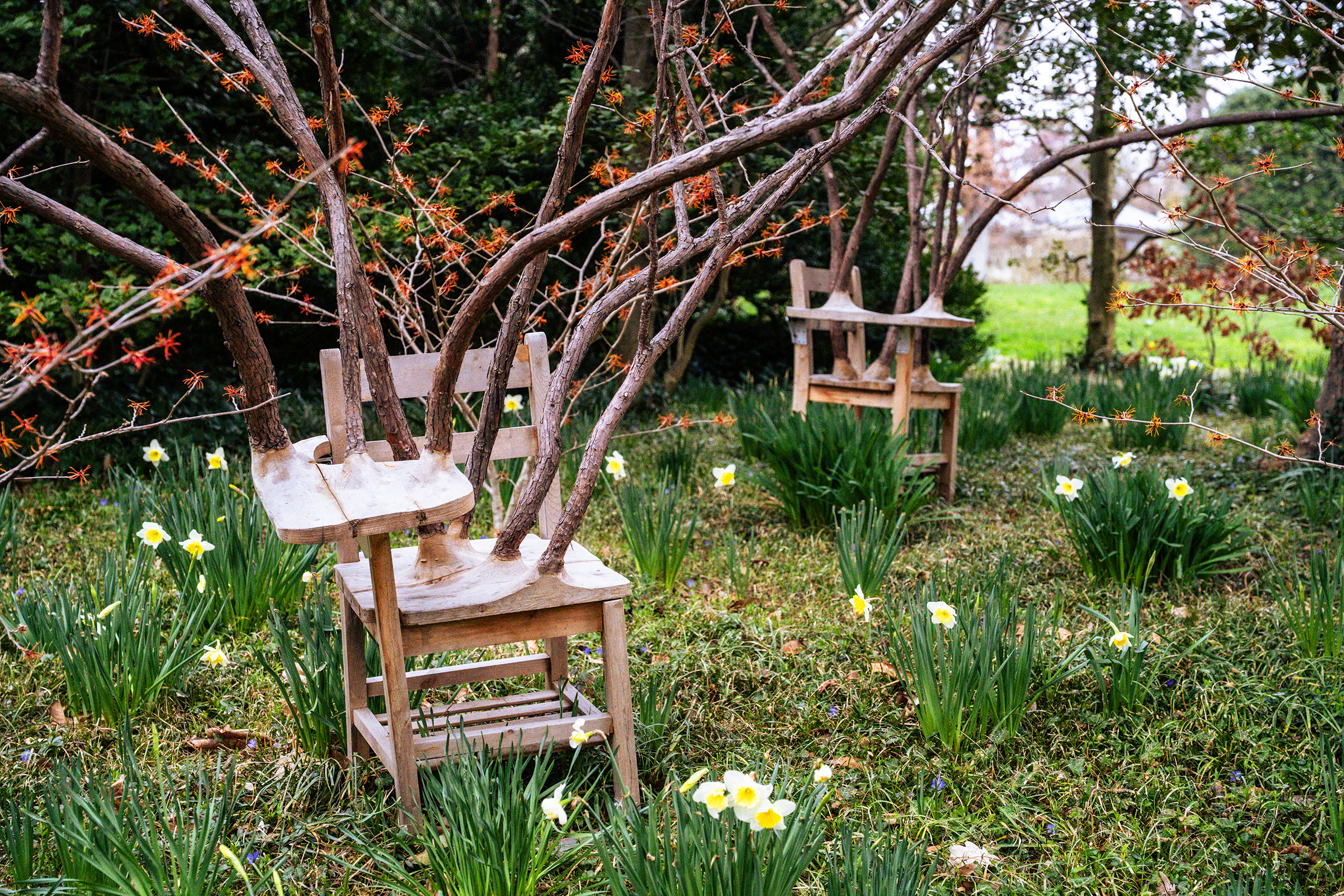 Dumbarton Oaks