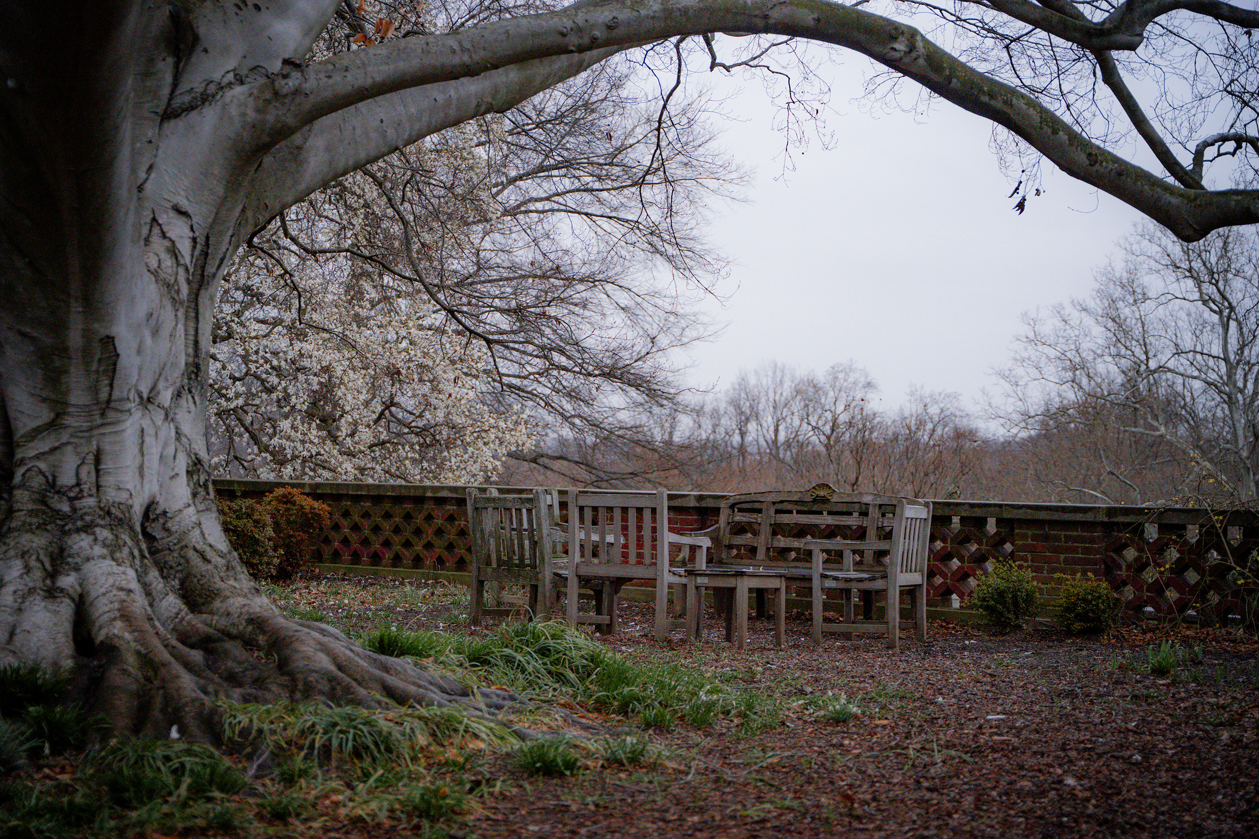 Dumbarton Oaks