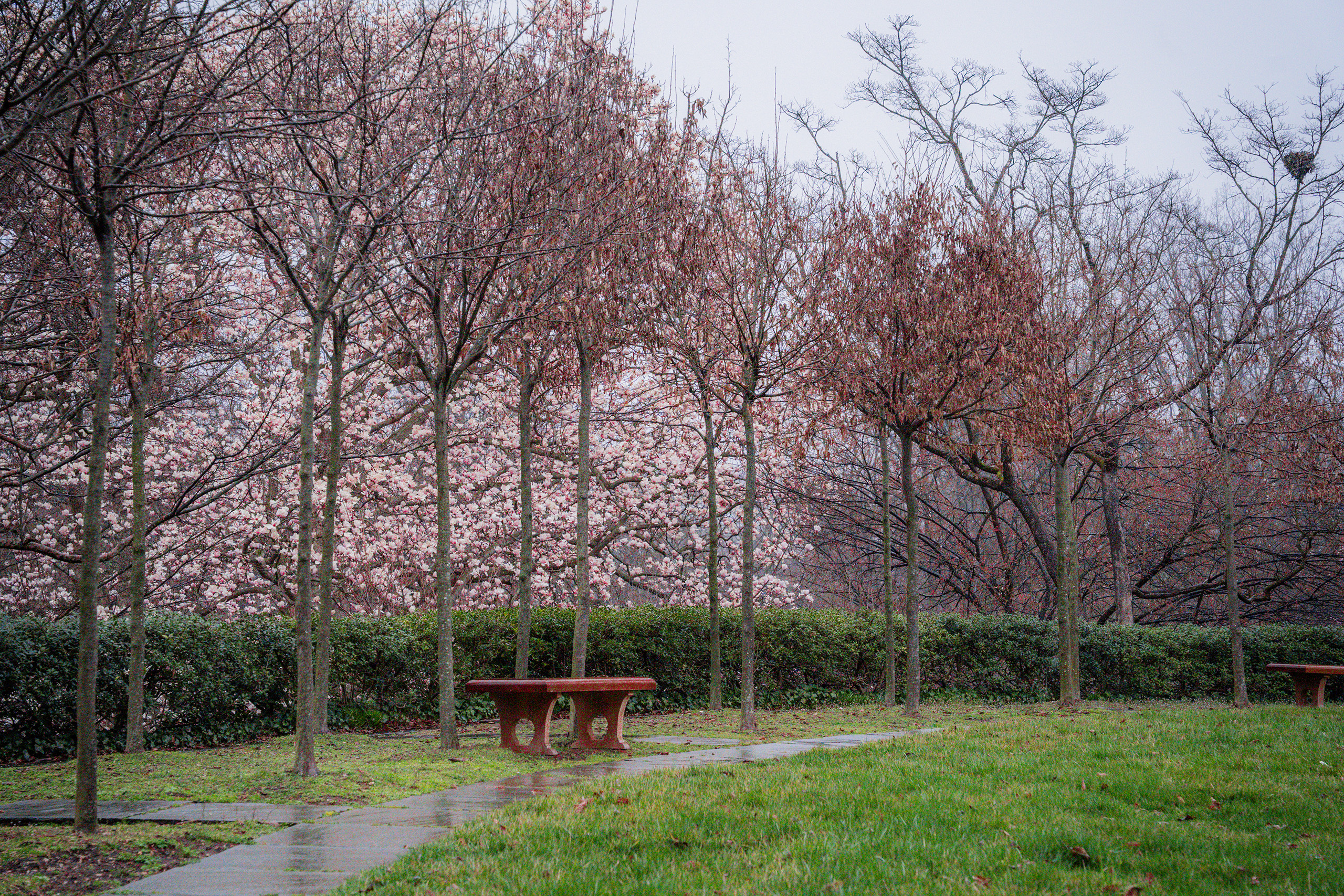 Dumbarton Oaks