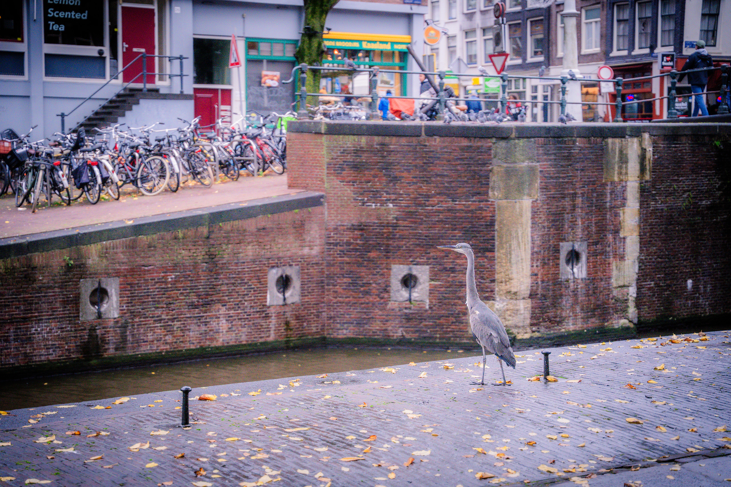 Amsterdam