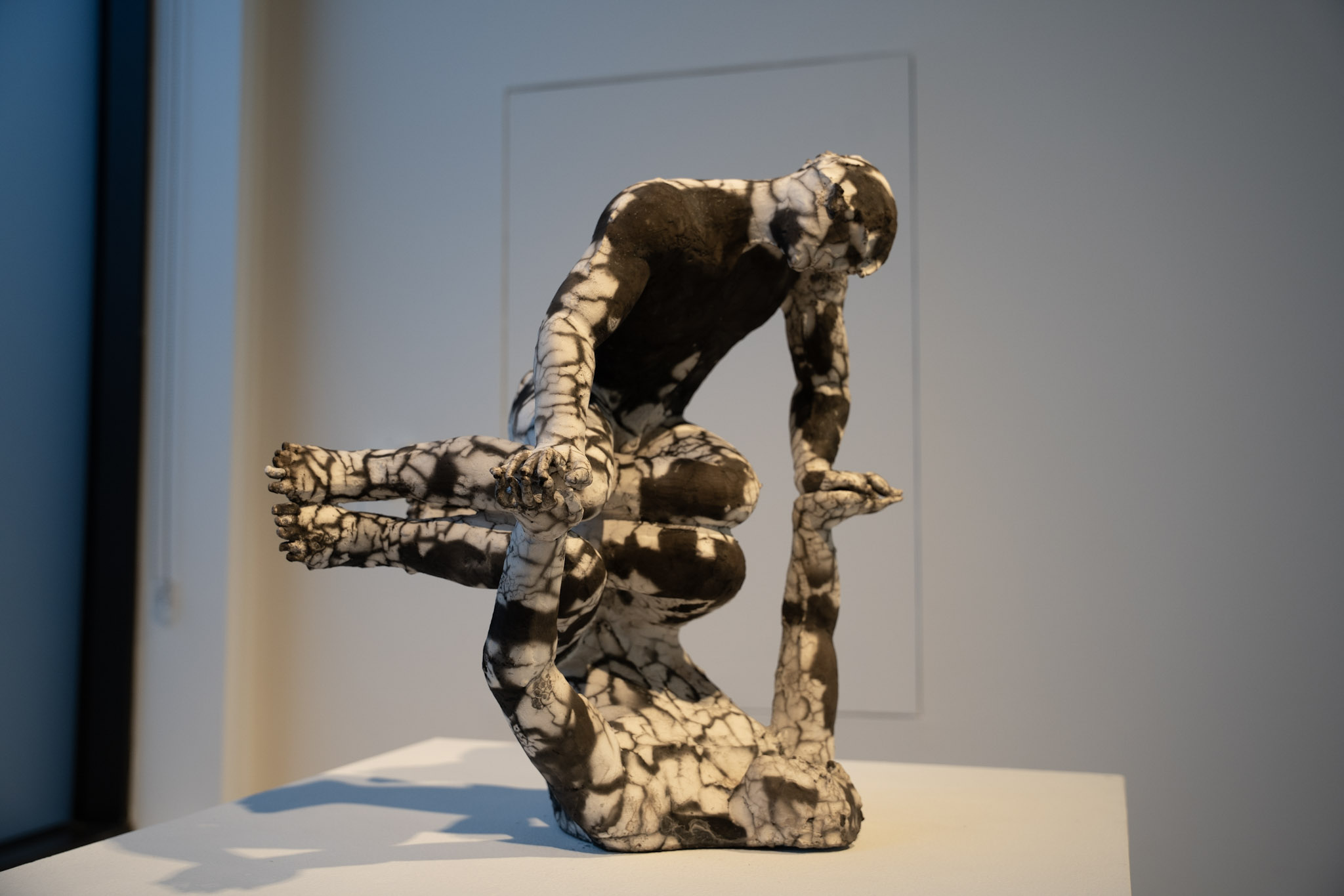 2025-03-01_Clay_Studio - foto 3