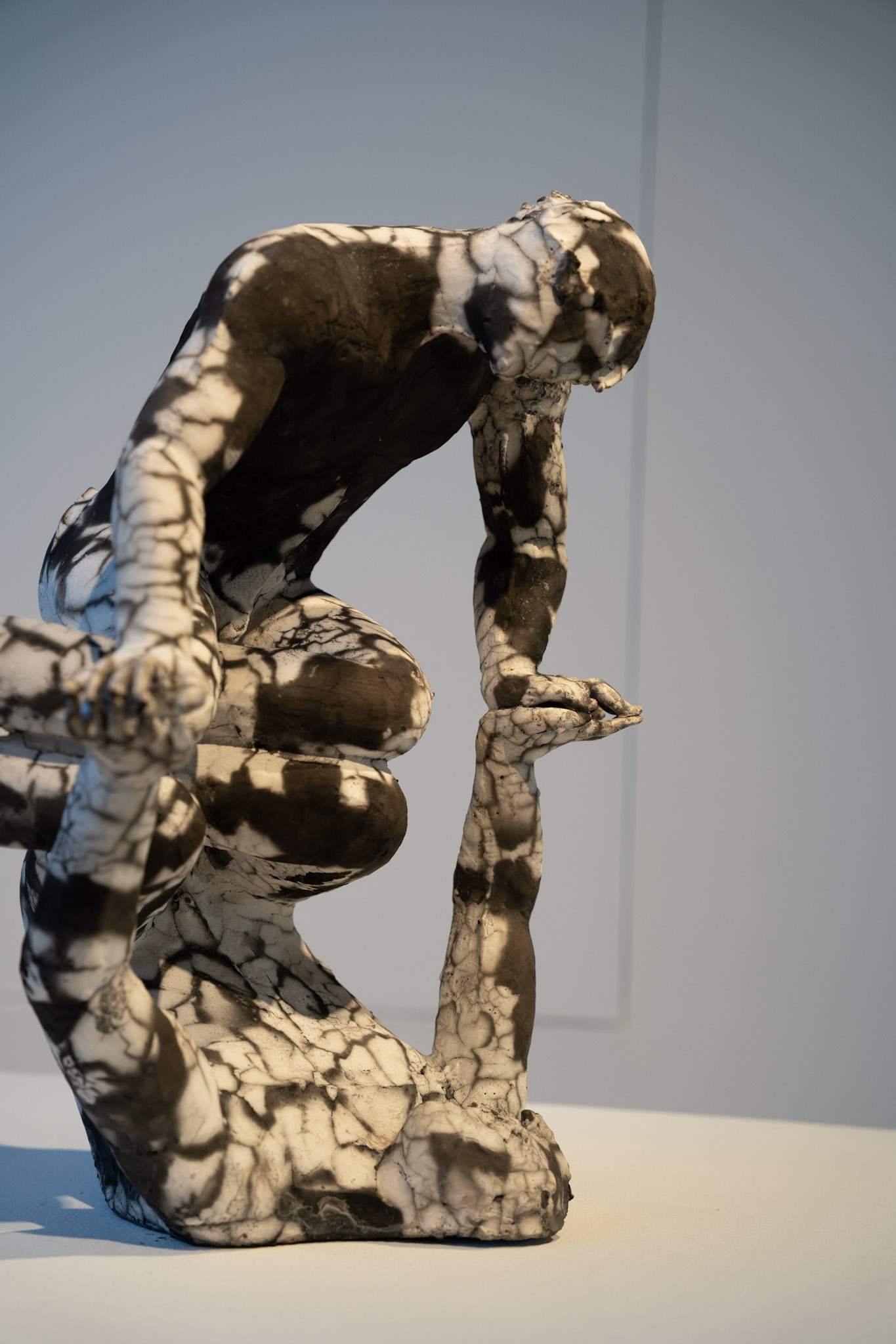 2025-03-01_Clay_Studio - foto 5