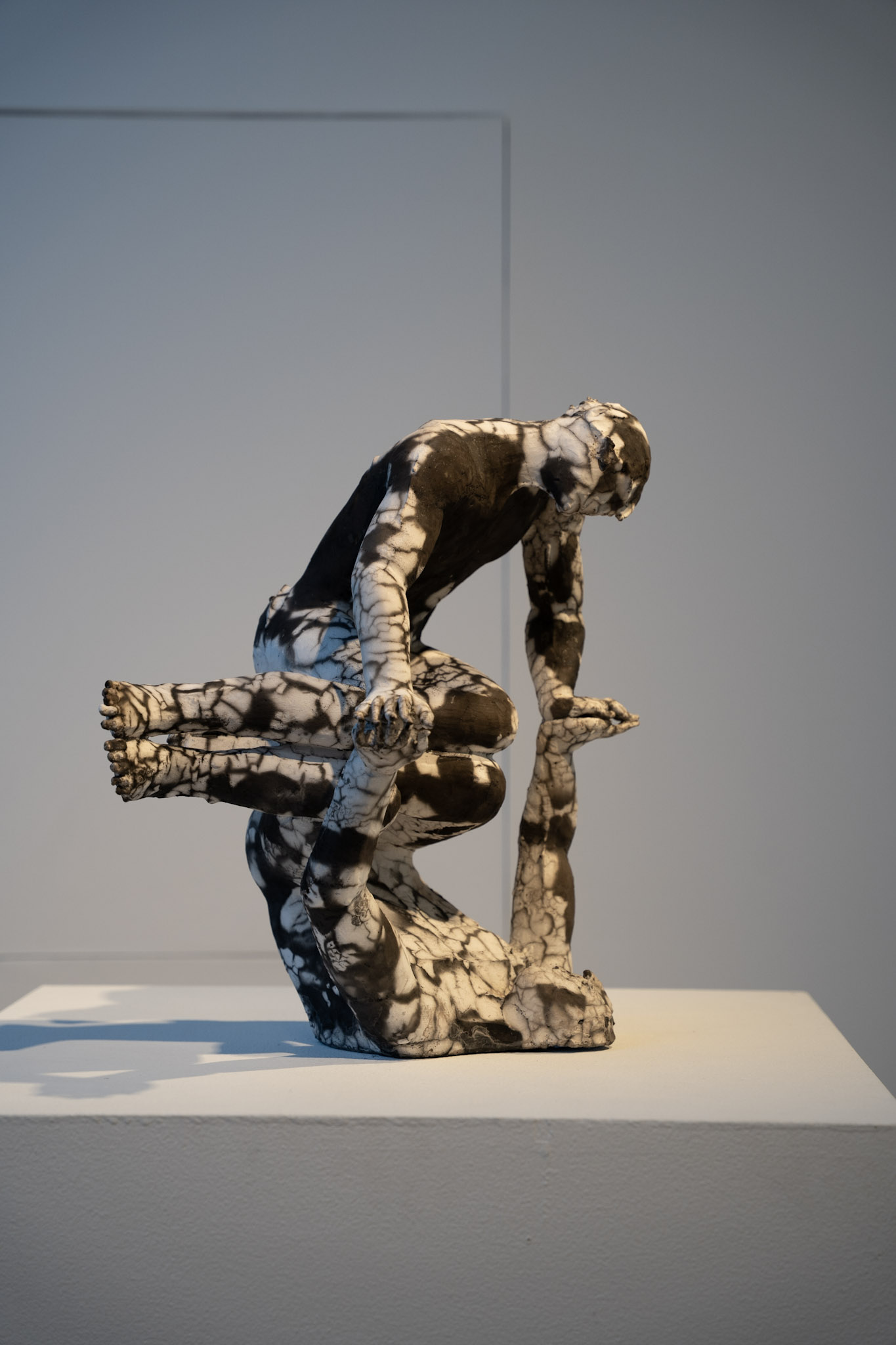 2025-03-01_Clay_Studio - foto 6