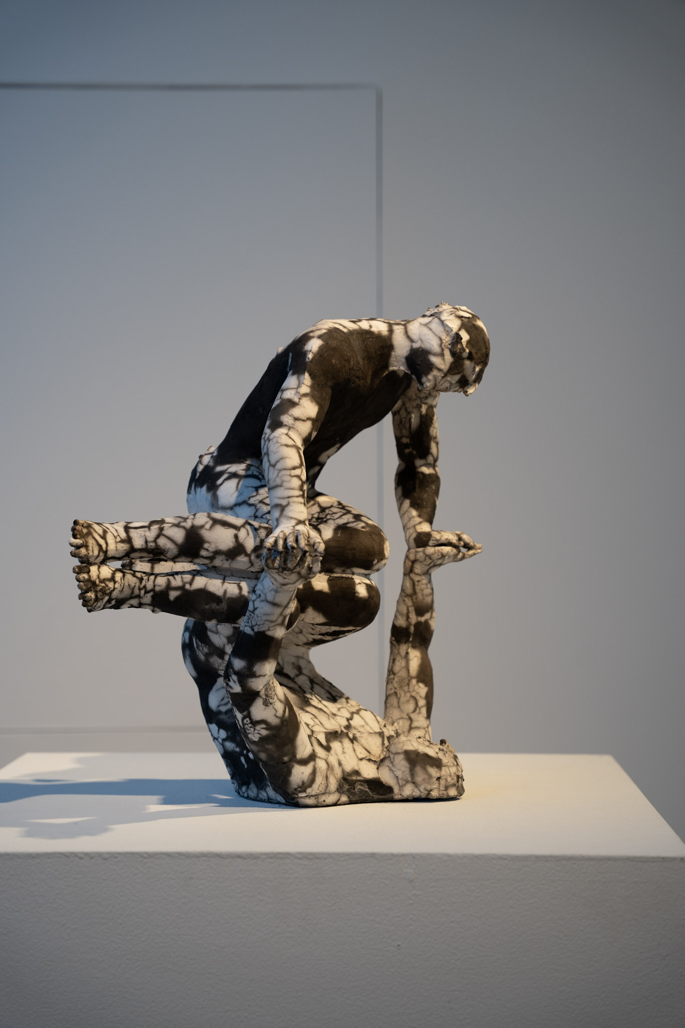 2025-03-01_Clay_Studio - foto 7