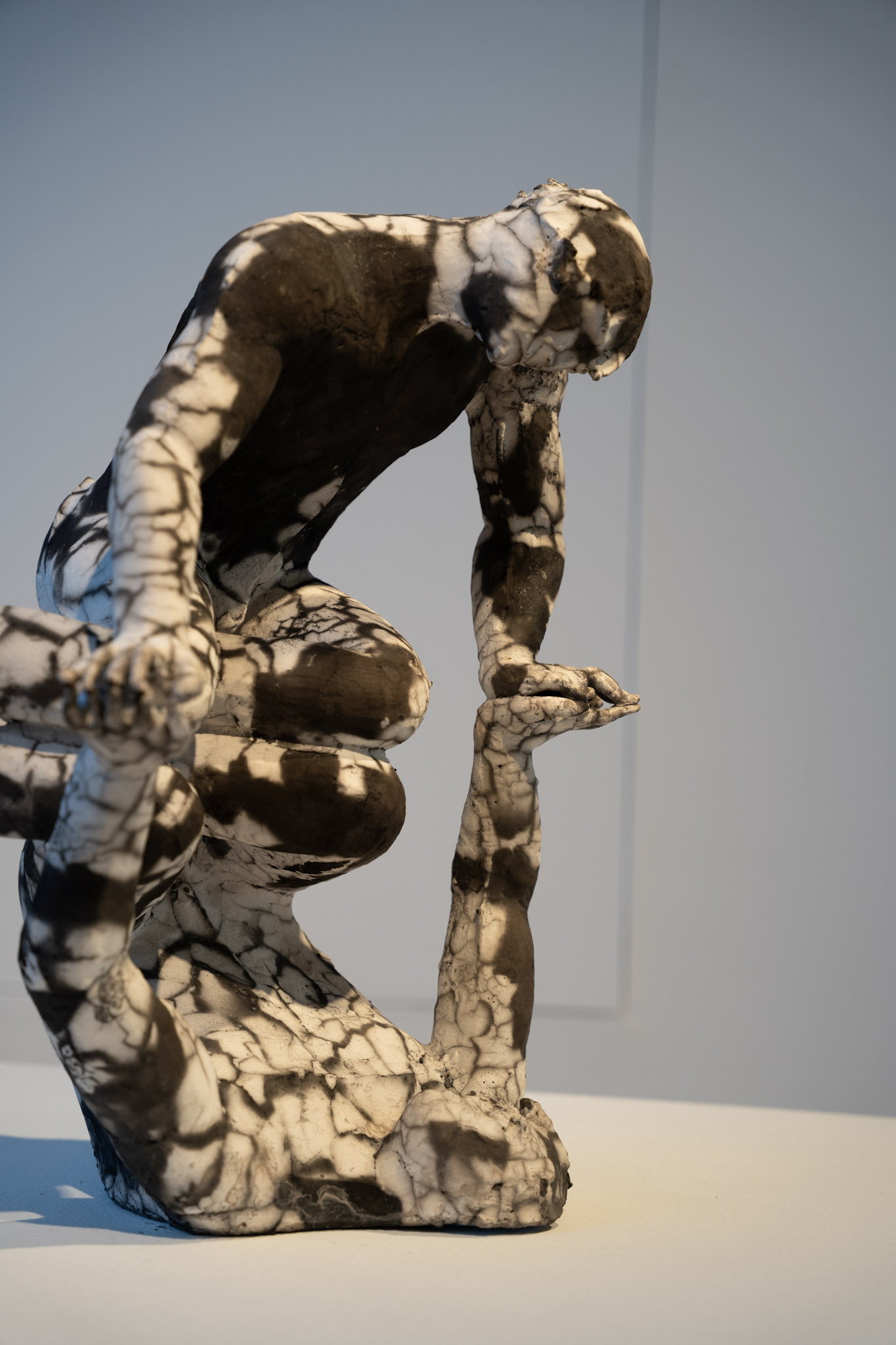 Clay Studio - foto 4