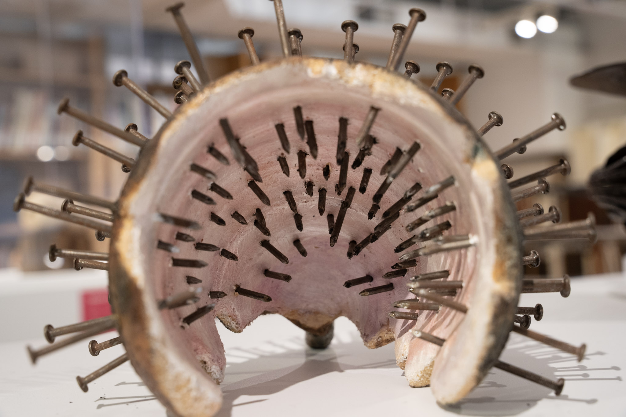 2025-03-01_Museum_For_Art_in_Wood - foto 58