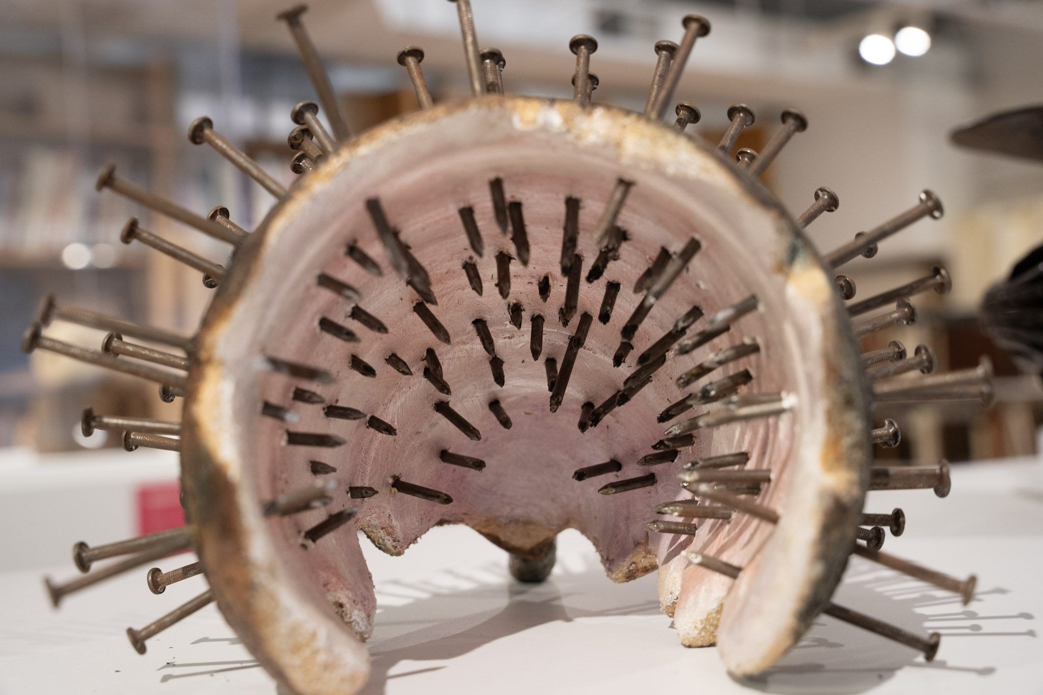 2025-03-01_Museum_For_Art_in_Wood - foto 59