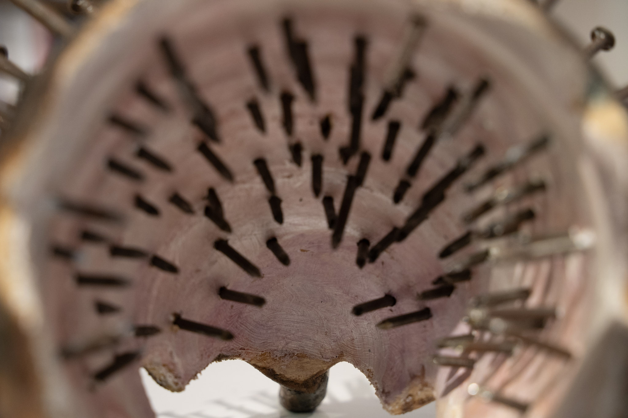 2025-03-01_Museum_For_Art_in_Wood - foto 61