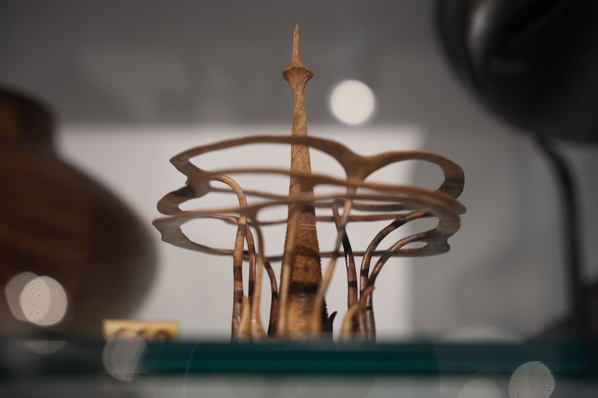 Museum For Art in Wood - foto 15