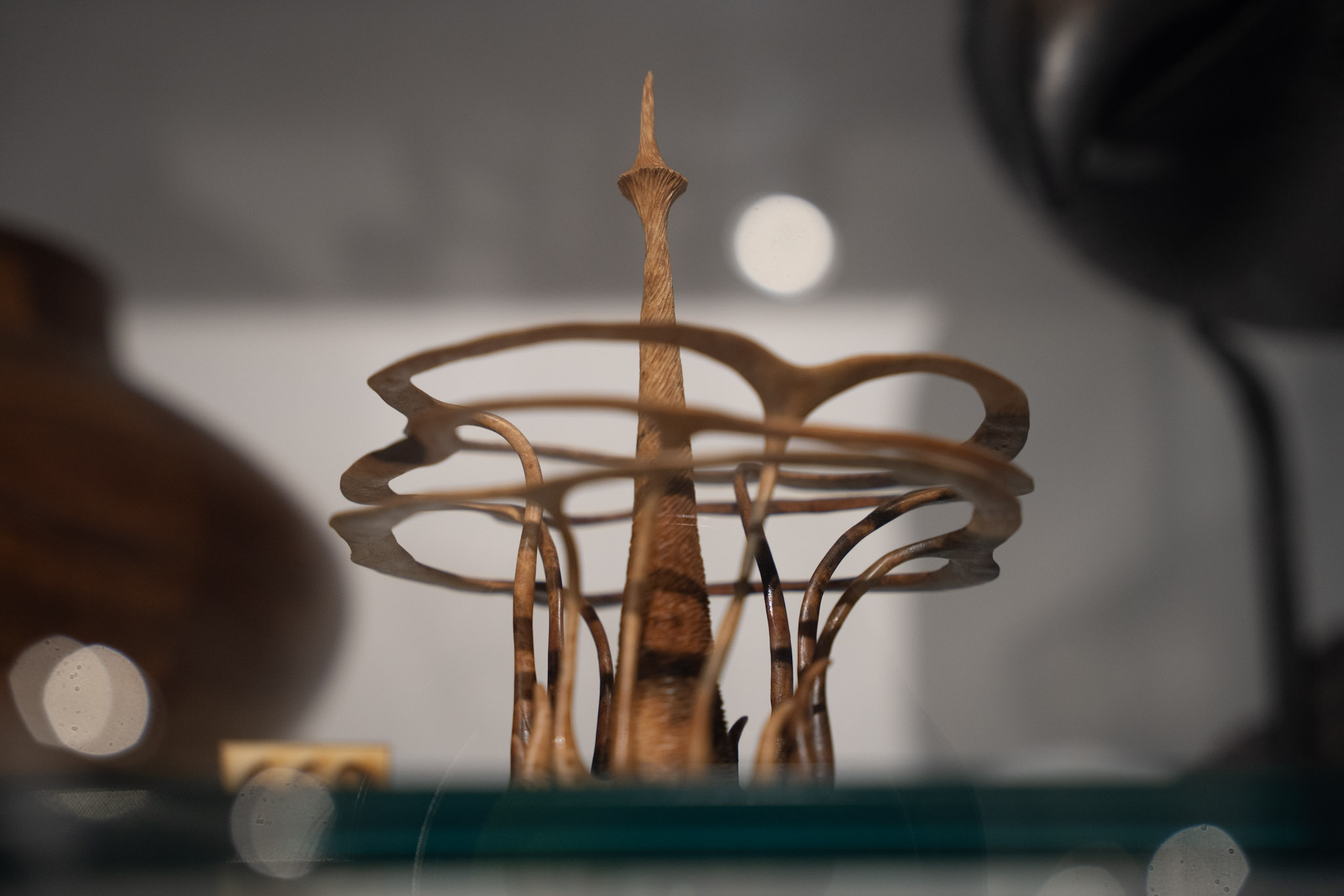 Museum For Art in Wood - foto 18