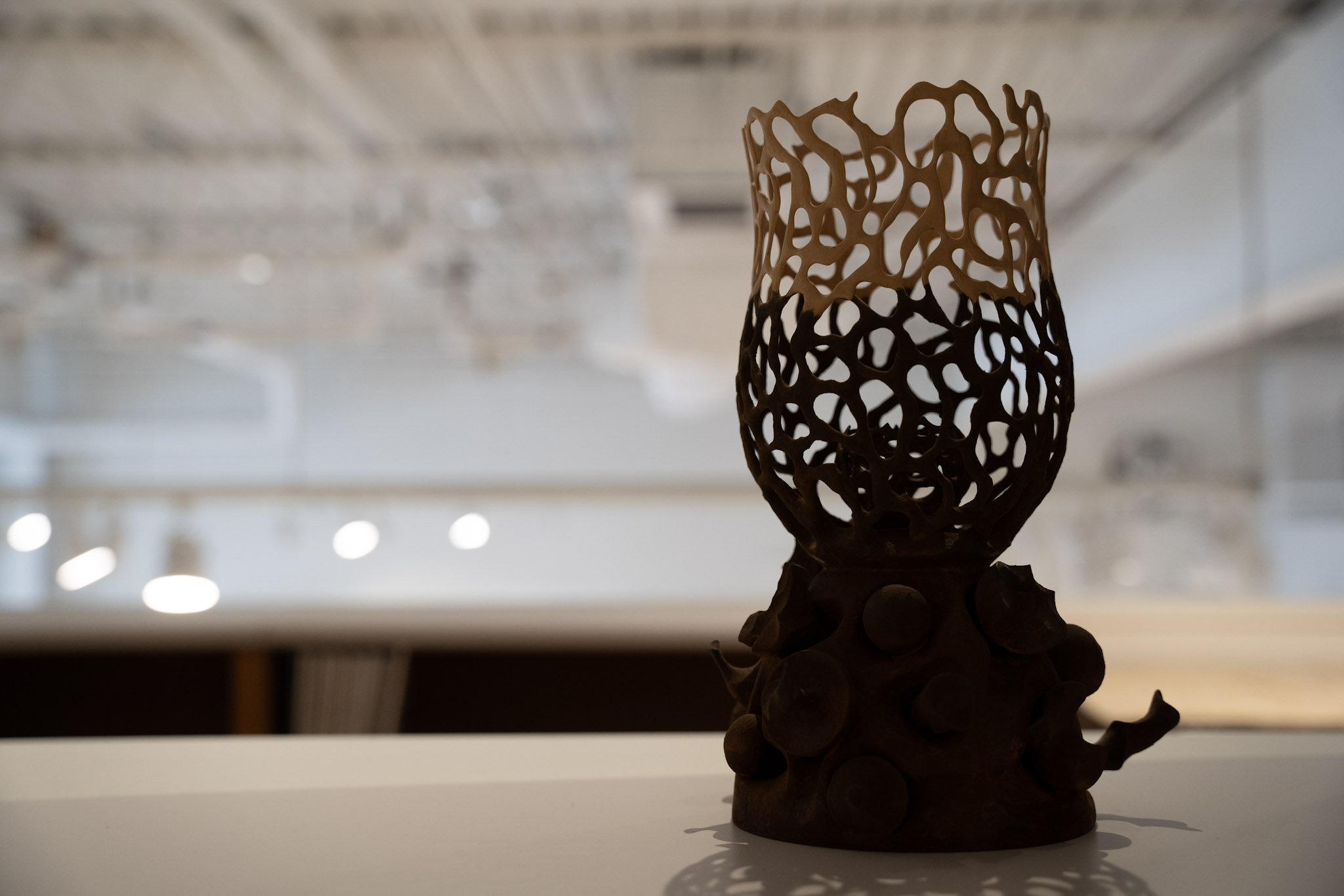 Museum For Art in Wood - foto 55