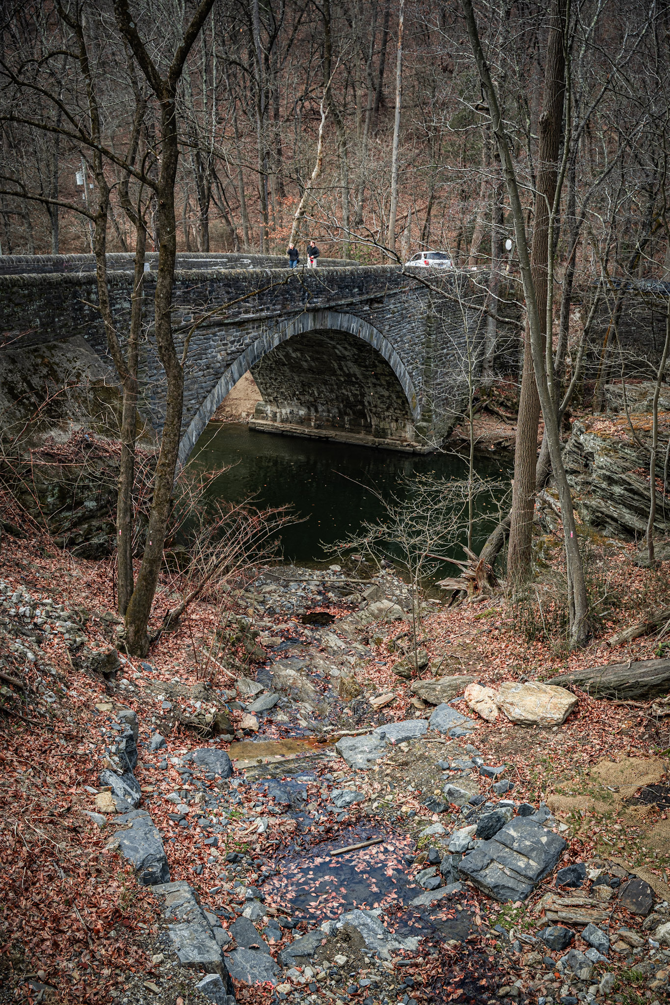 2025-03-01_Wisahickon