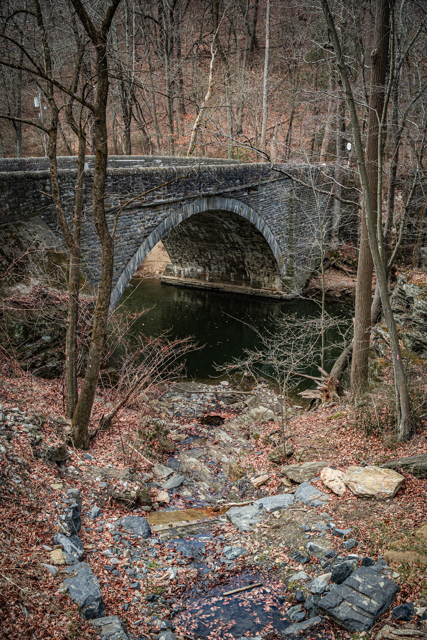 2025-03-01_Wisahickon - foto 7