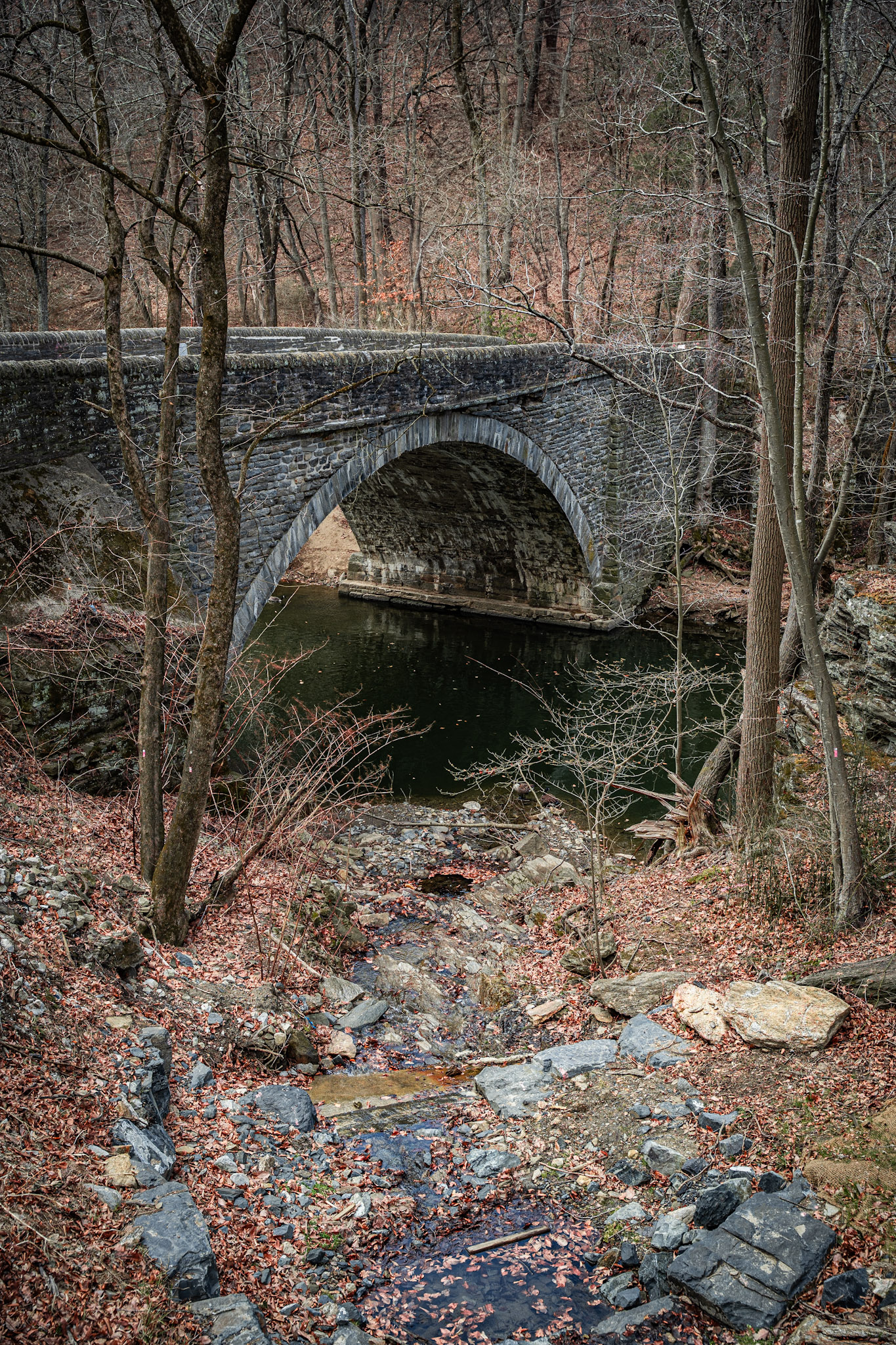 2025-03-01_Wisahickon - foto 8