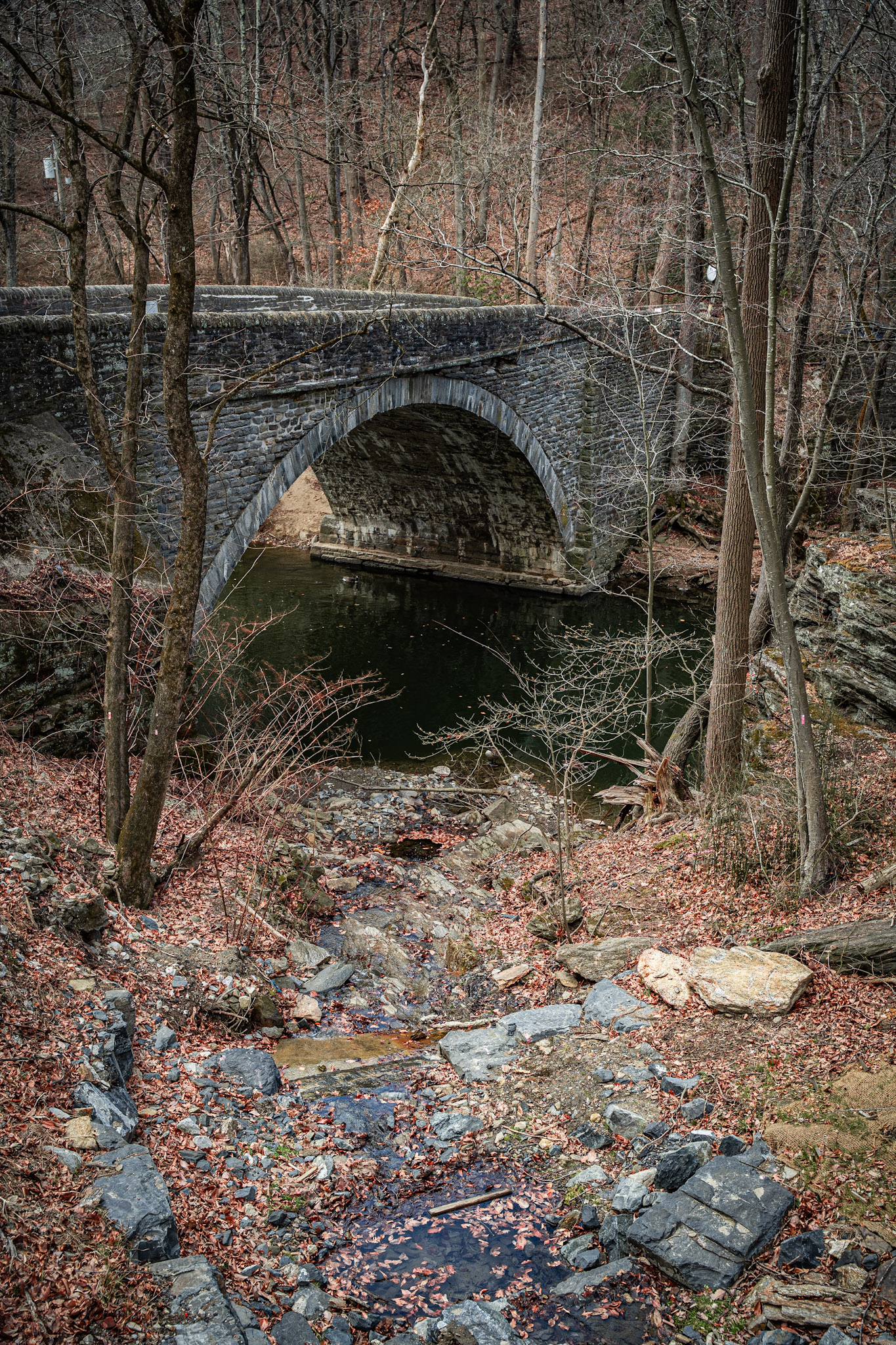 2025-03-01_Wisahickon - foto 9