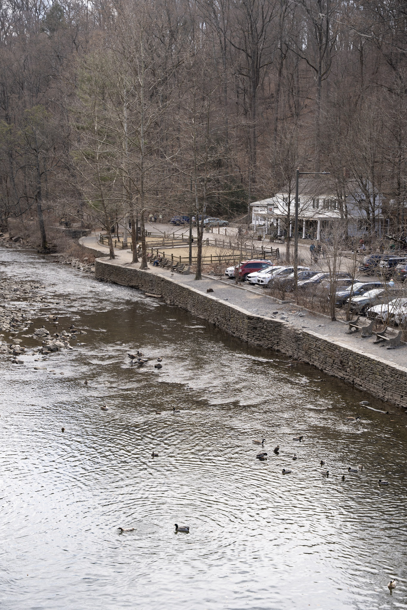 2025-03-01_Wisahickon - foto 11