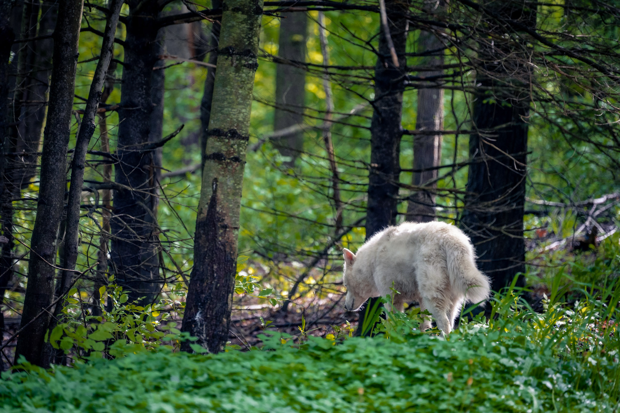 2025-05-23_Upstate_NY