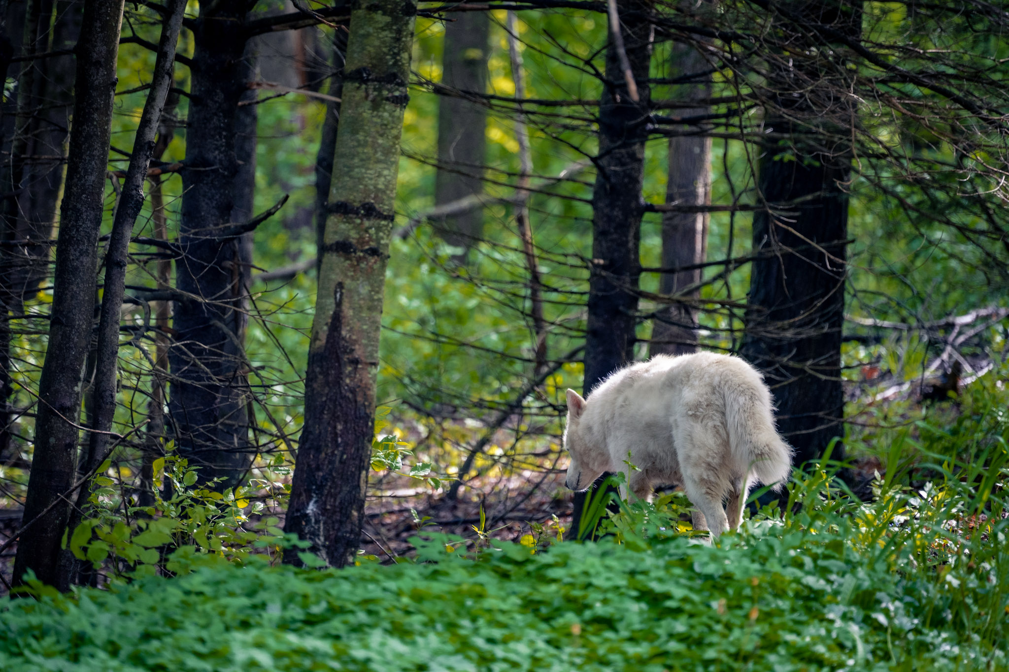 2025-05-23_Upstate_NY - foto 2