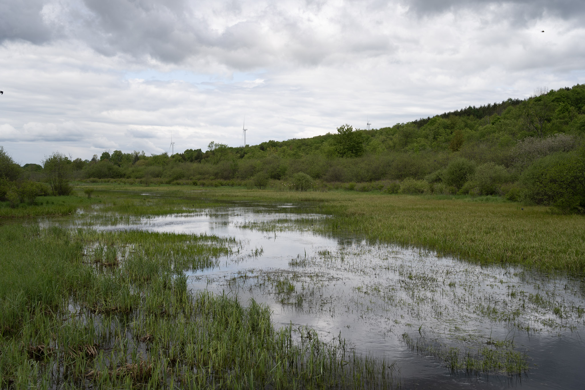 2025-05-23_Upstate_NY - foto 4