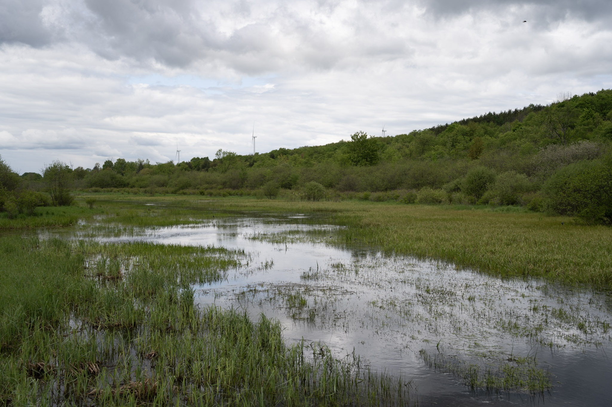 2025-05-23_Upstate_NY - foto 5