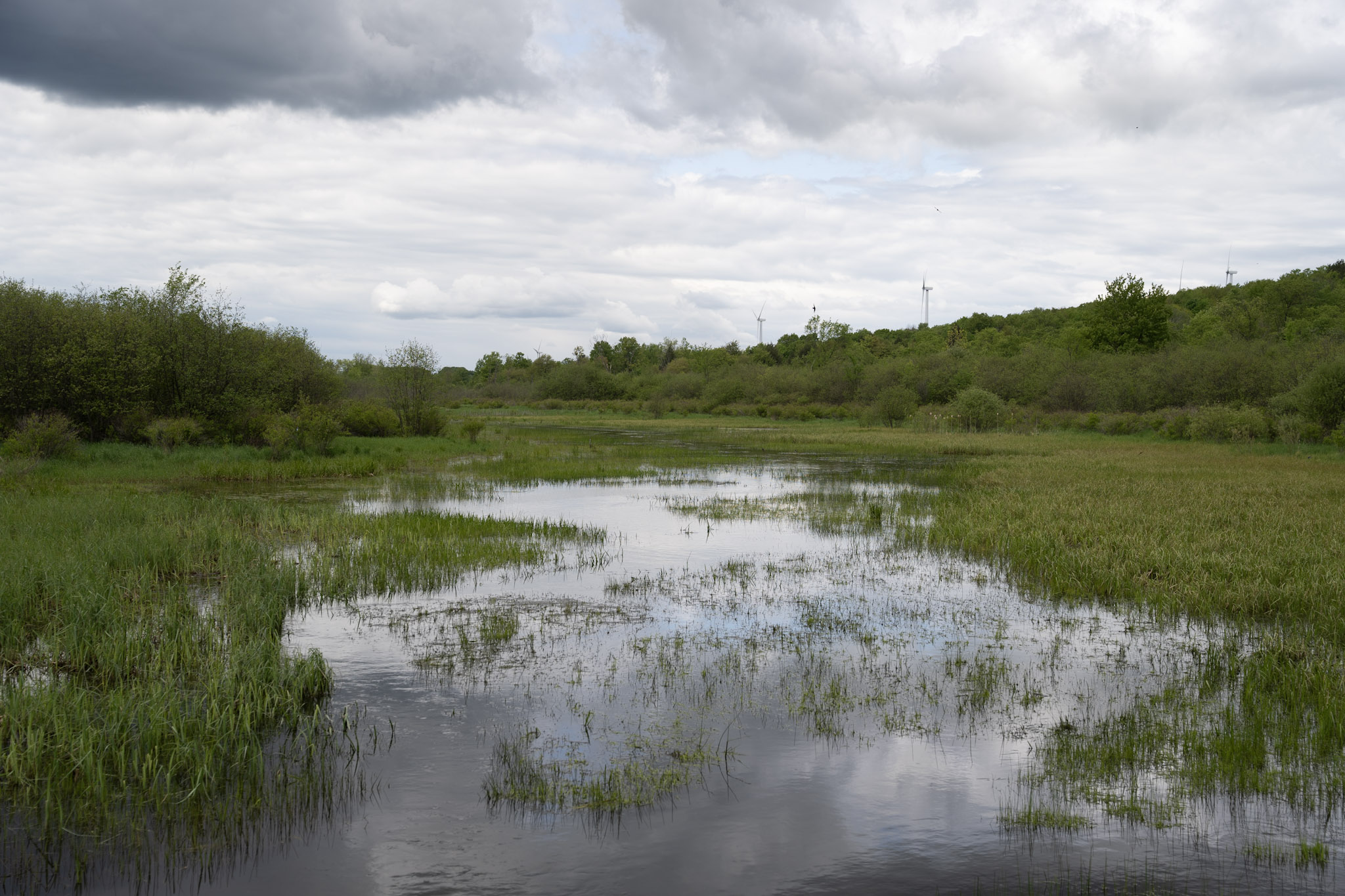 2025-05-23_Upstate_NY - foto 6