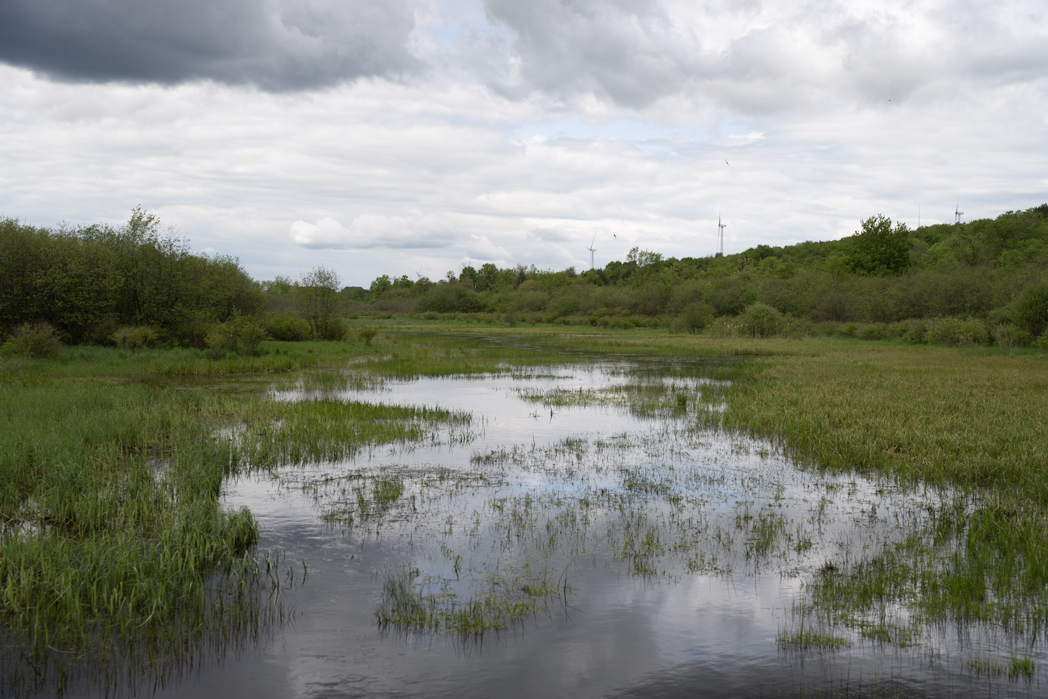 2025-05-23_Upstate_NY - foto 7