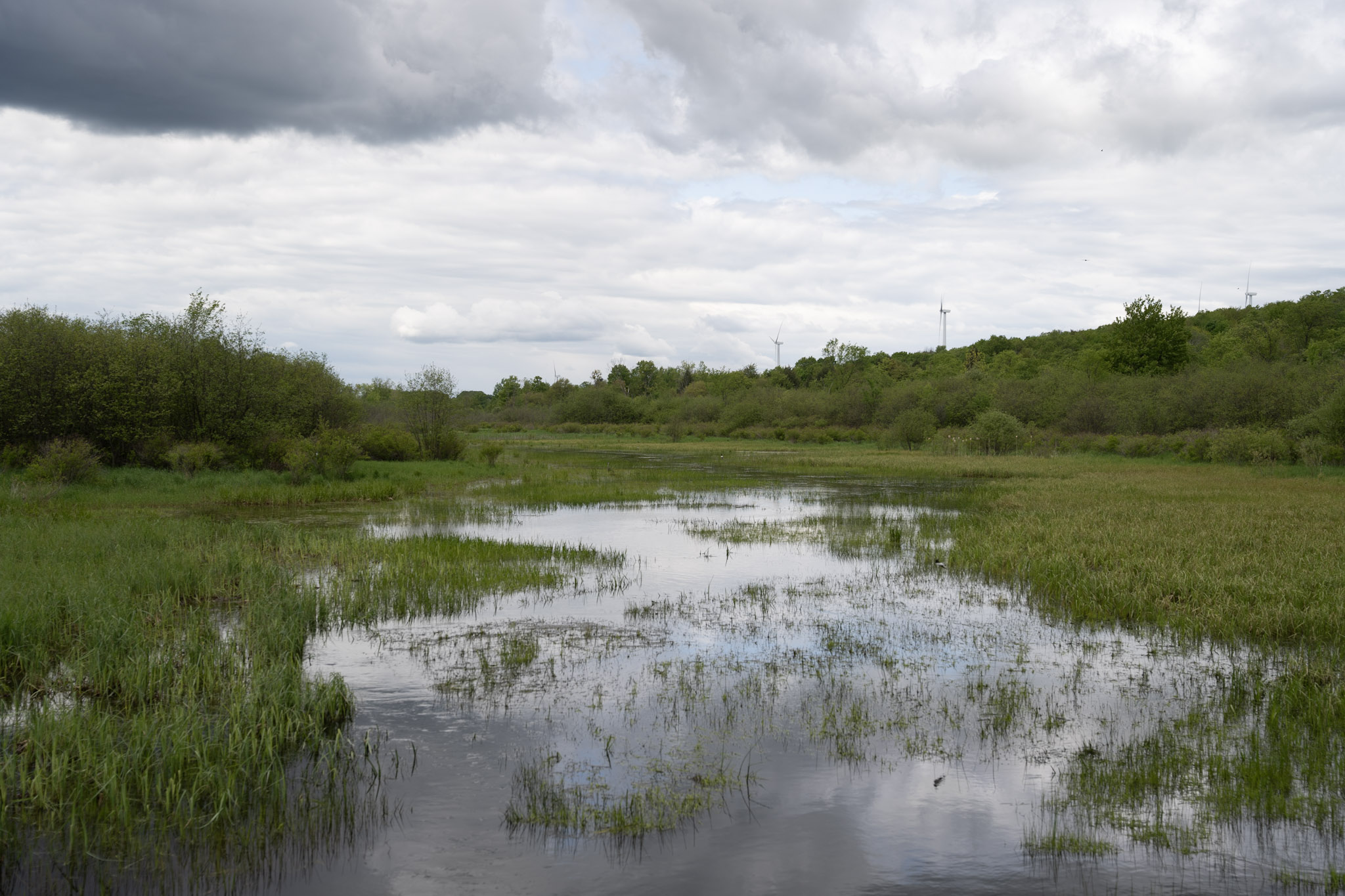 2025-05-23_Upstate_NY - foto 9