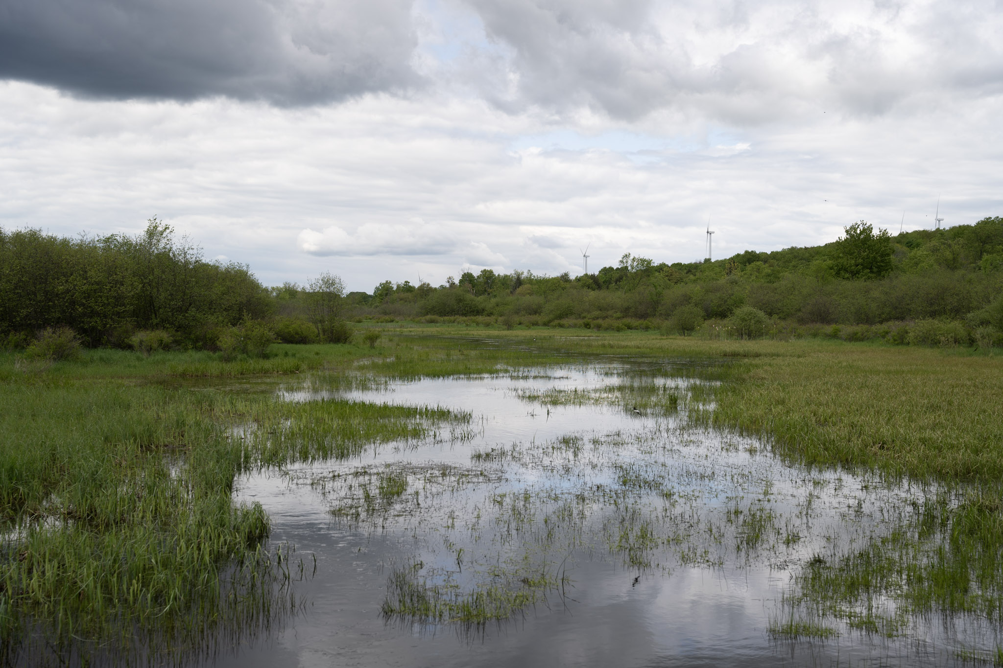 2025-05-23_Upstate_NY - foto 10