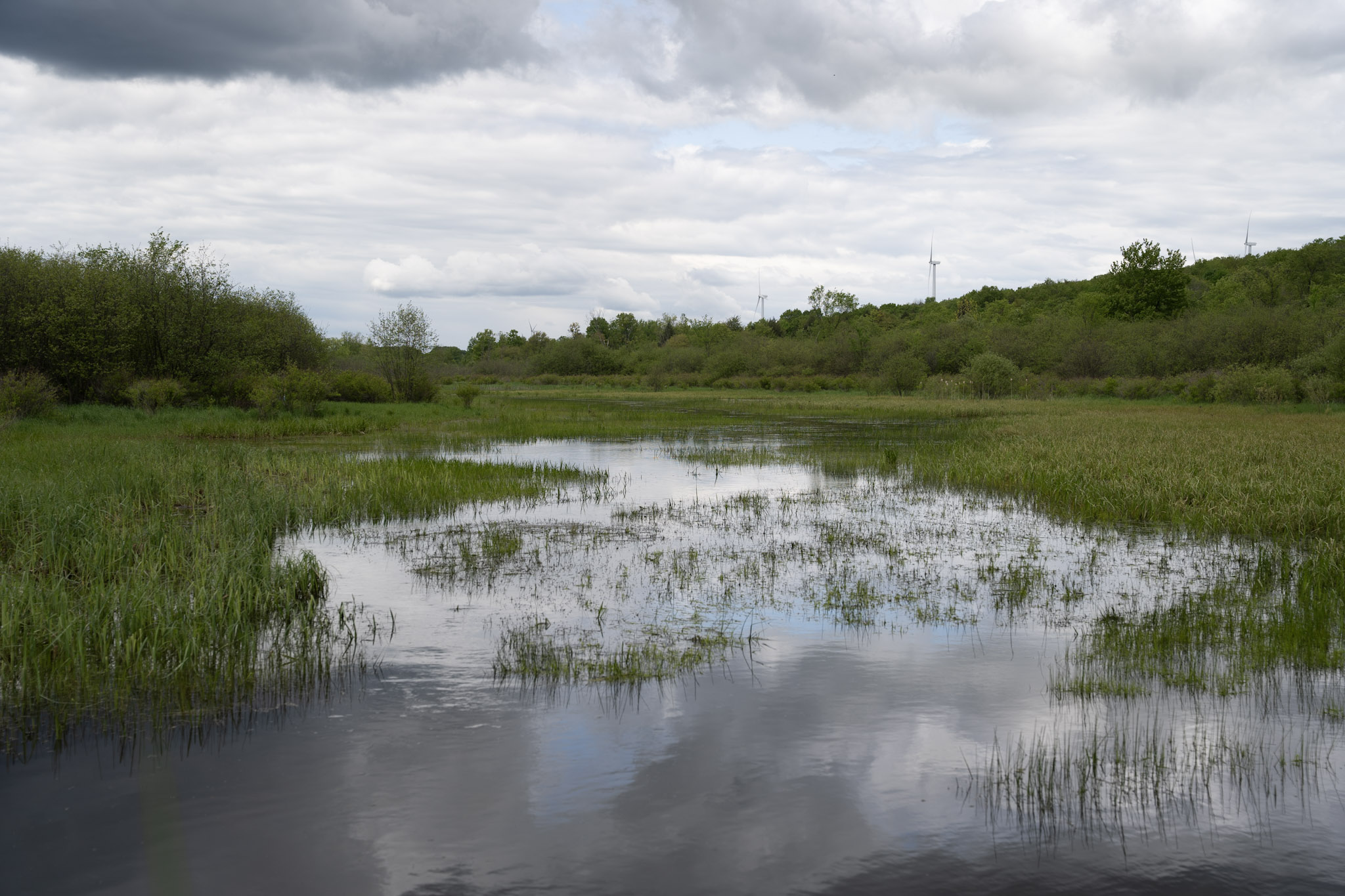 2025-05-23_Upstate_NY - foto 11