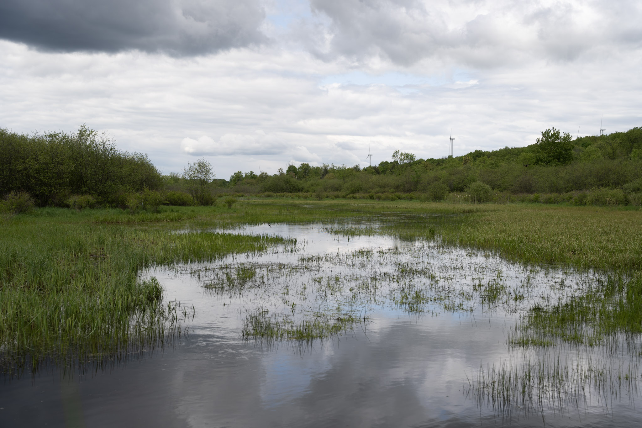 2025-05-23_Upstate_NY - foto 13