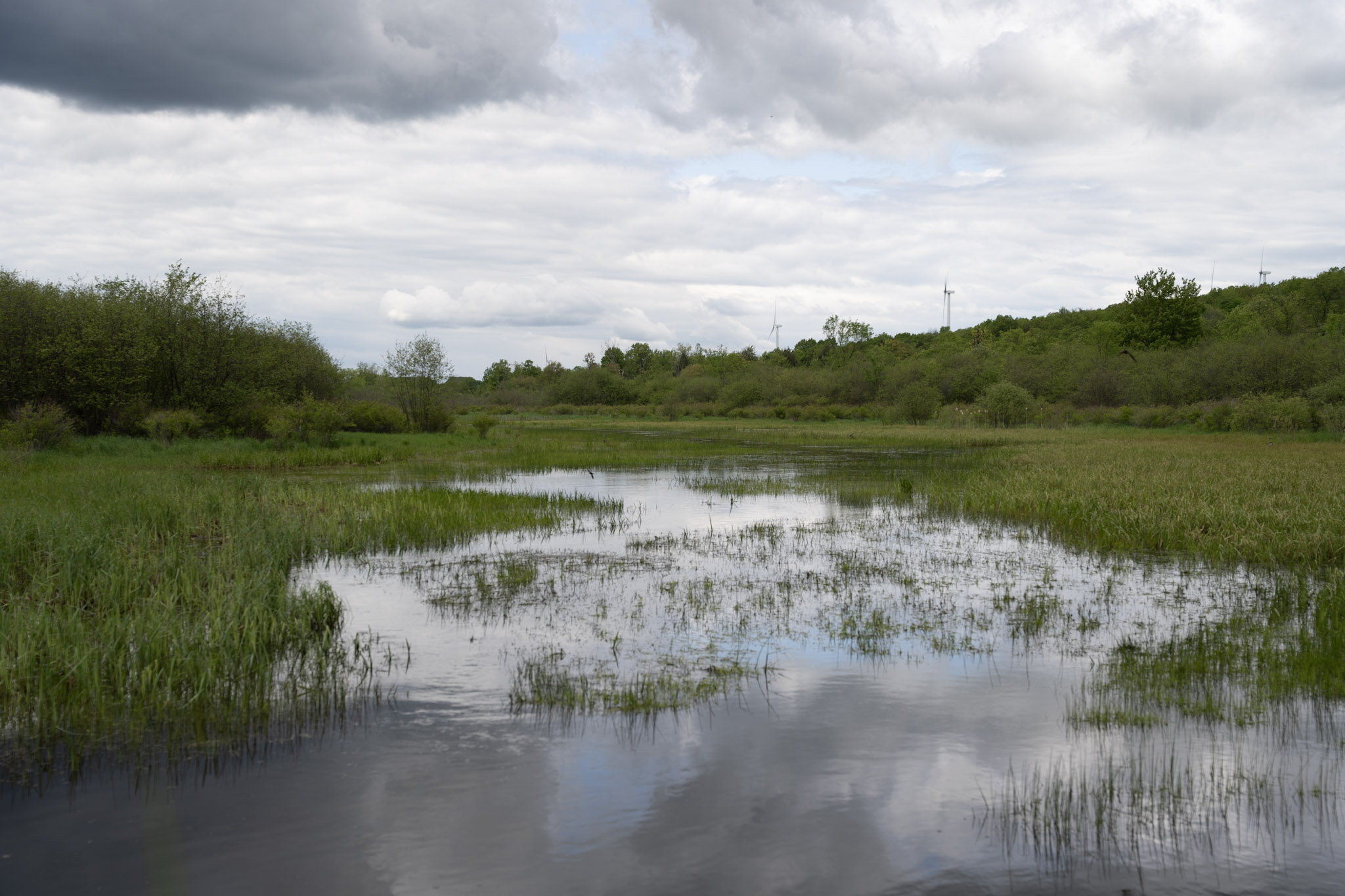 2025-05-23_Upstate_NY - foto 14