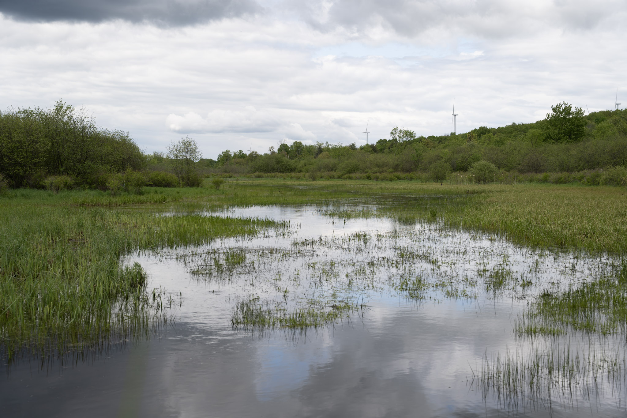 2025-05-23_Upstate_NY - foto 16