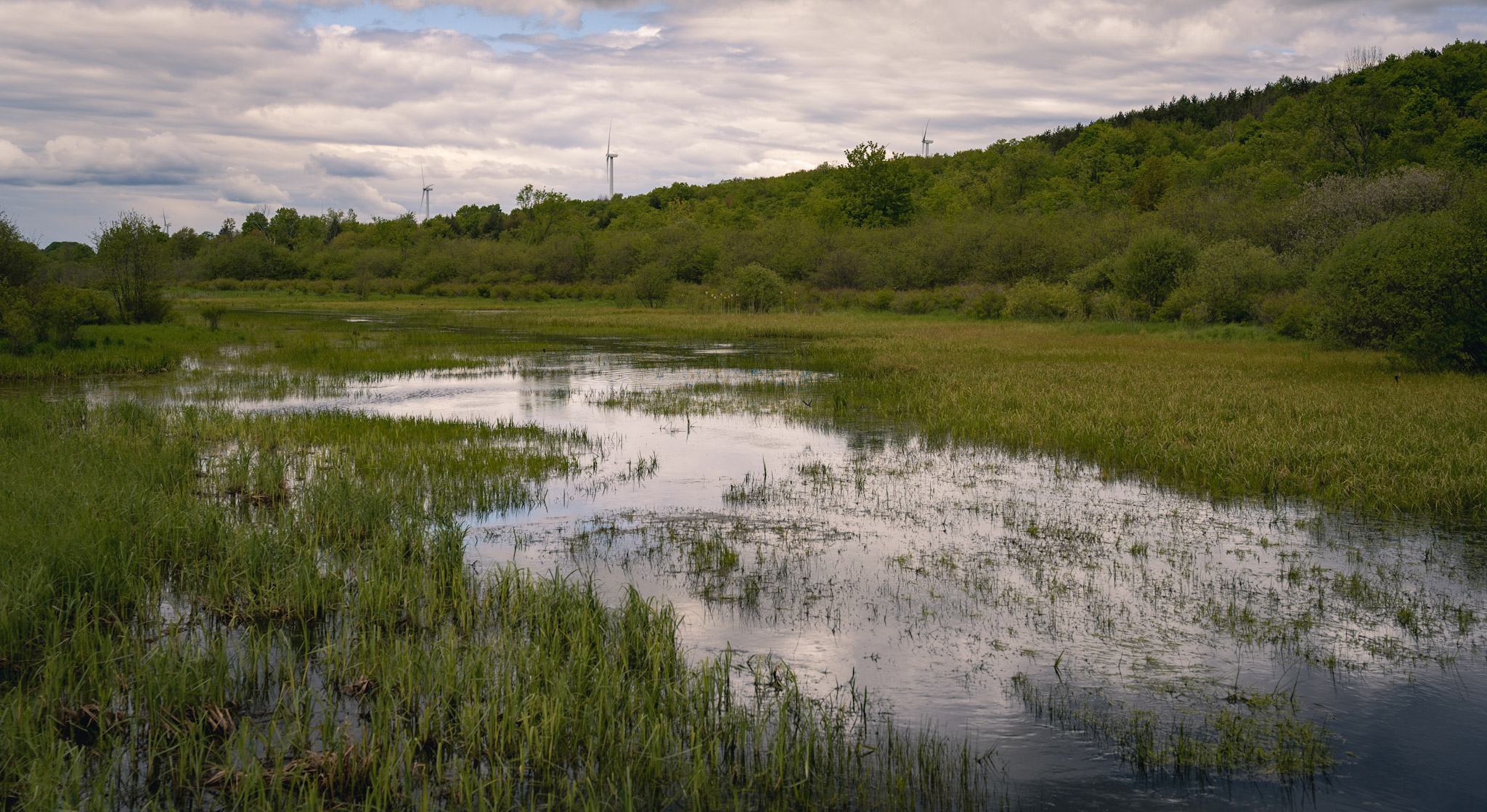 Upstate NY - foto 3