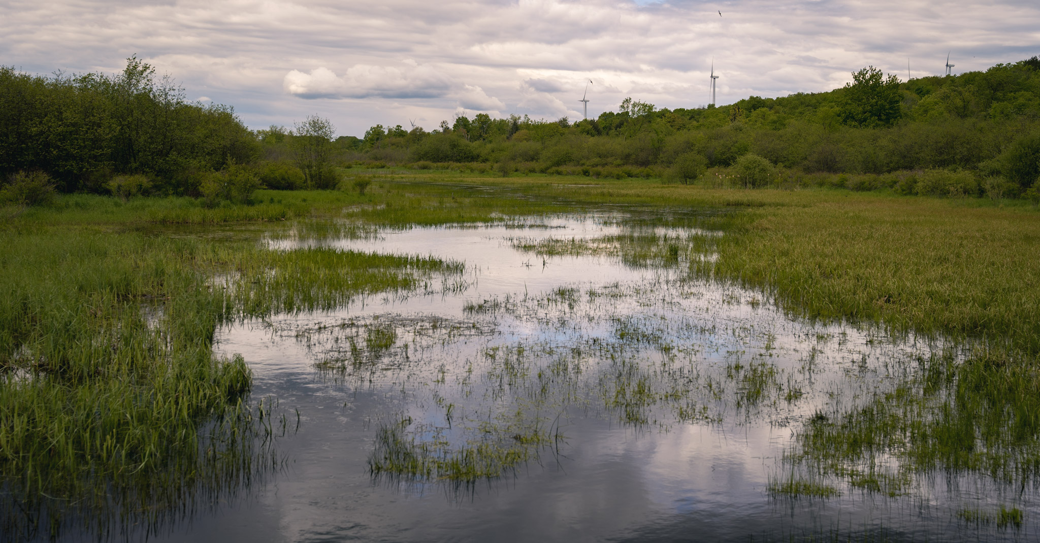 Upstate NY - foto 8
