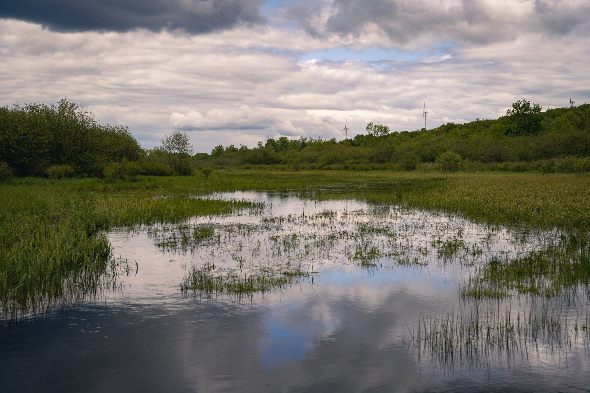 Upstate NY - foto 17