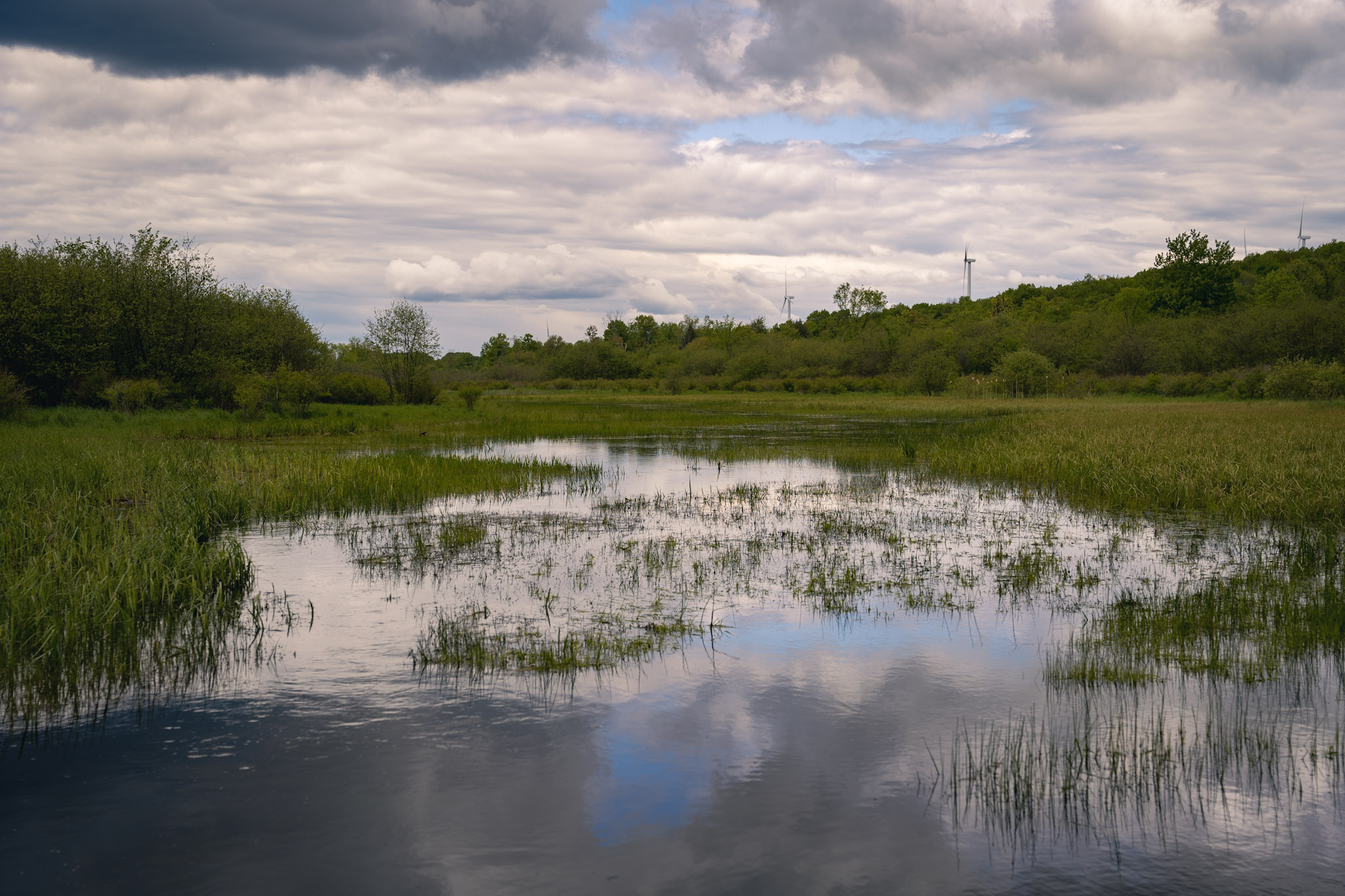 Upstate NY - foto 18